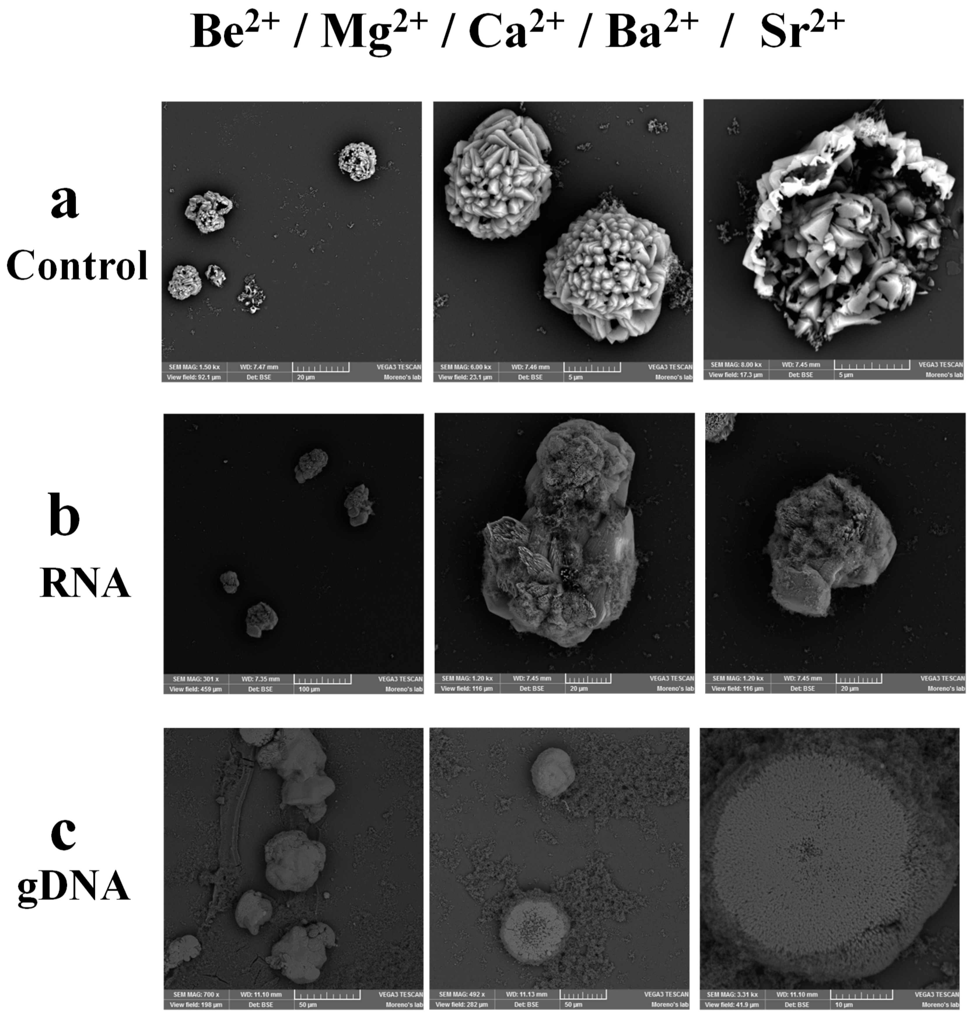 Crystals 09 00381 g008