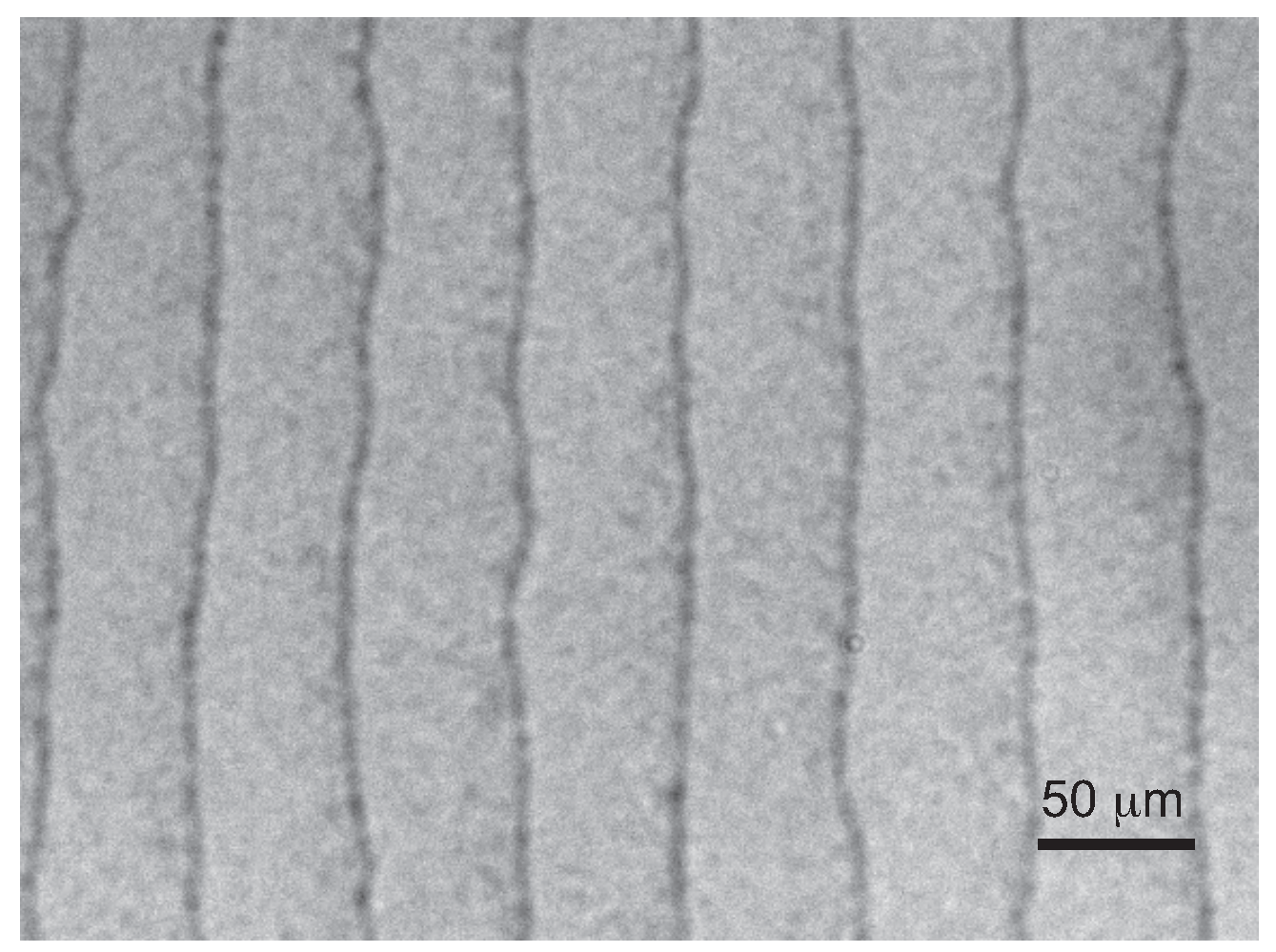 Crystals 09 00400 g016