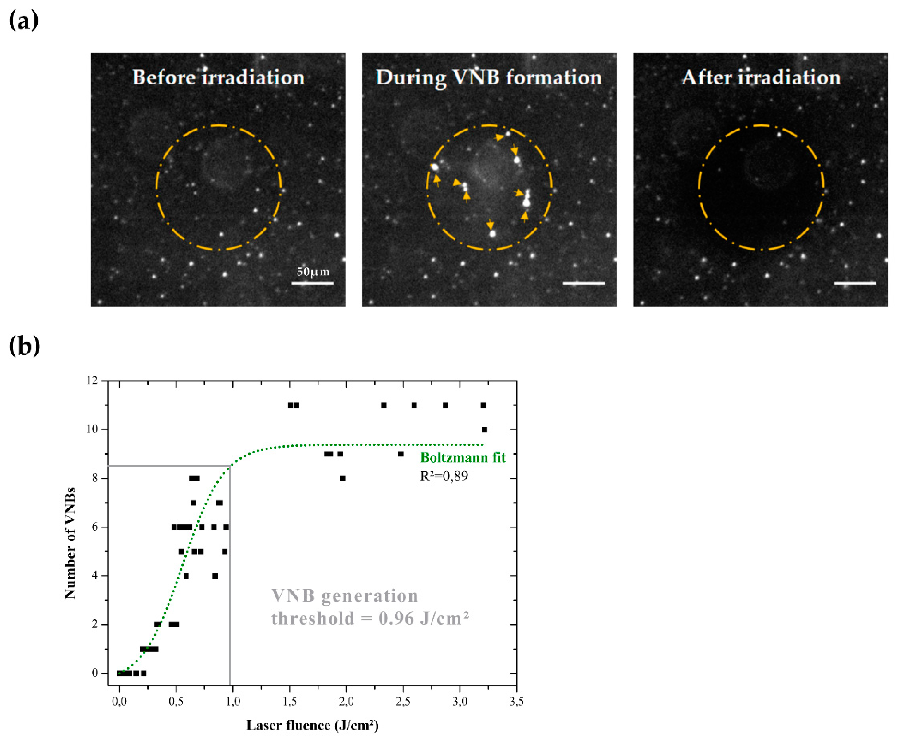 Crystals 09 00411 g003