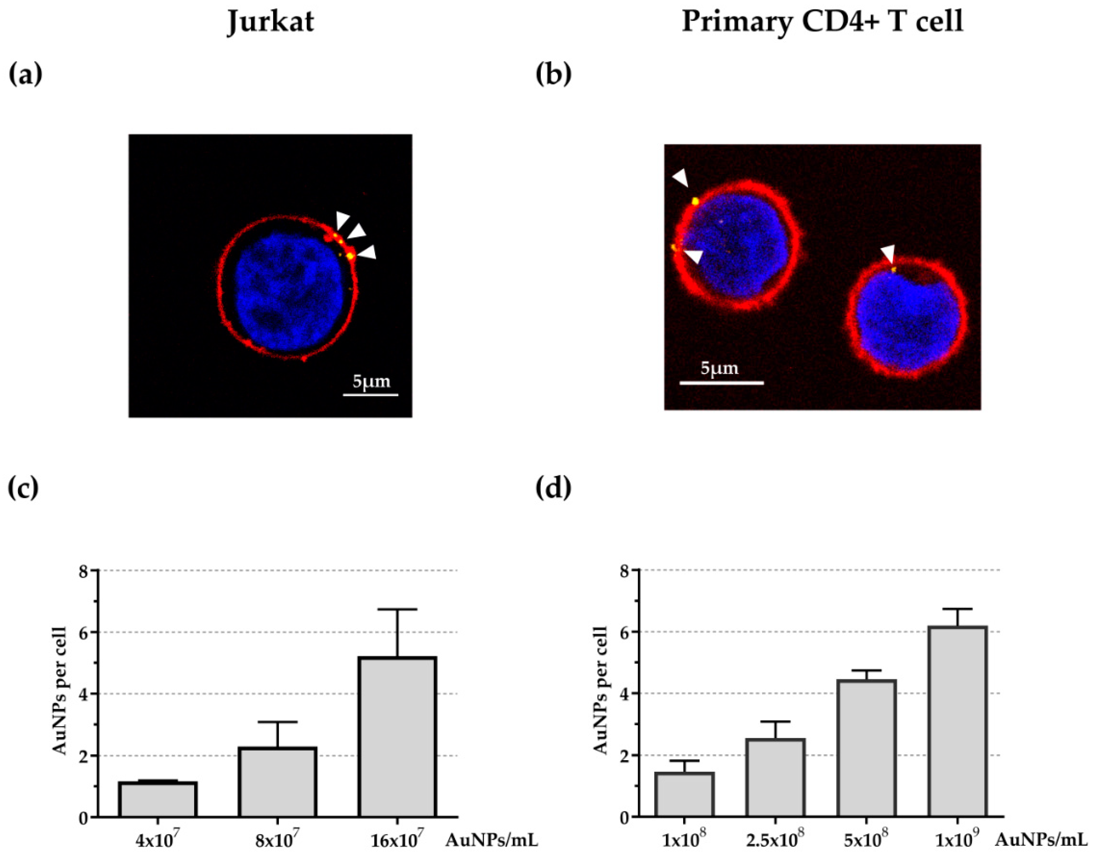 Crystals 09 00411 g004
