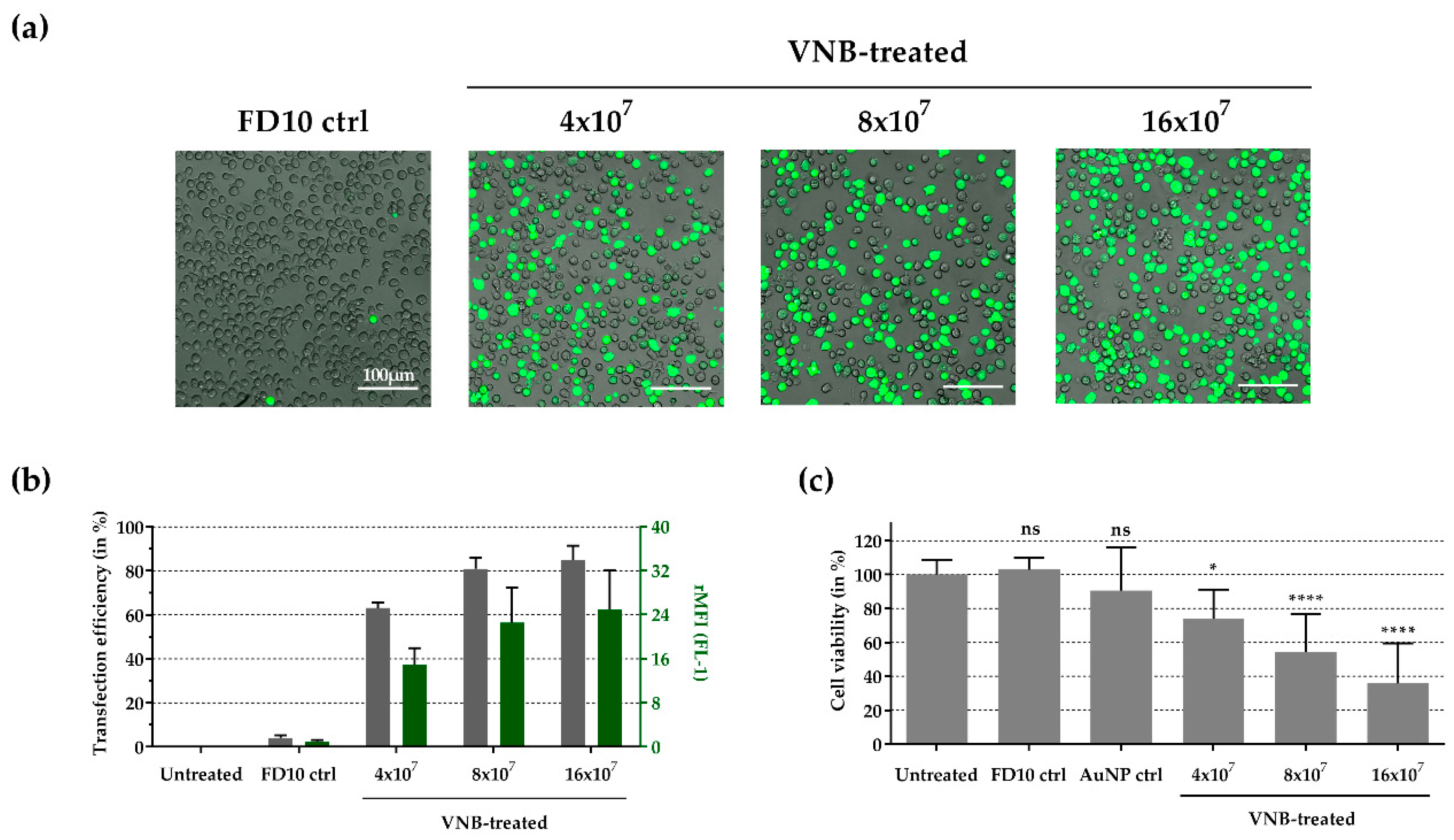 Crystals 09 00411 g005