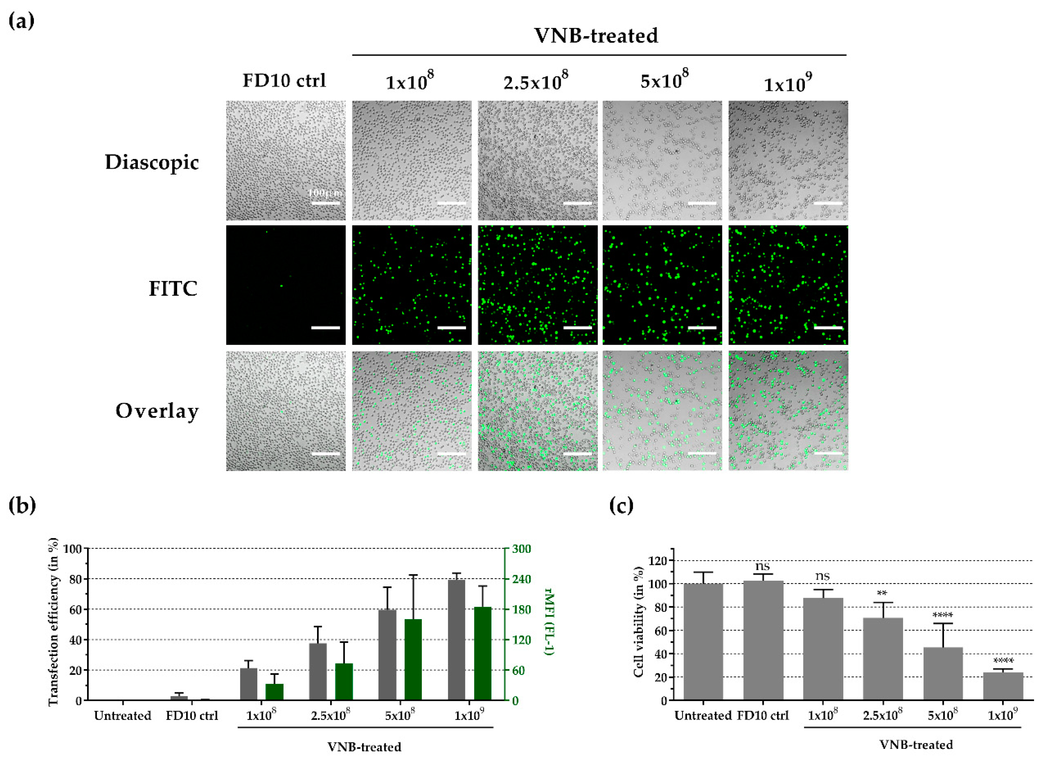 Crystals 09 00411 g006