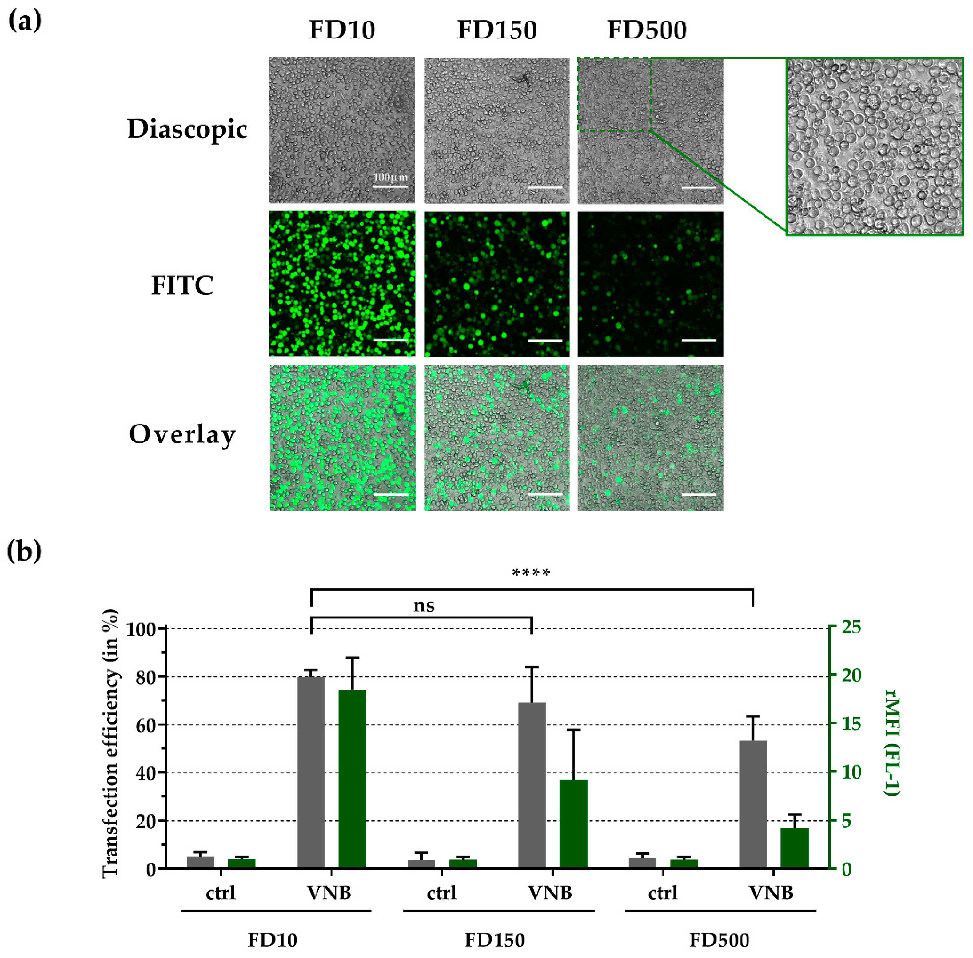 Crystals 09 00411 g007