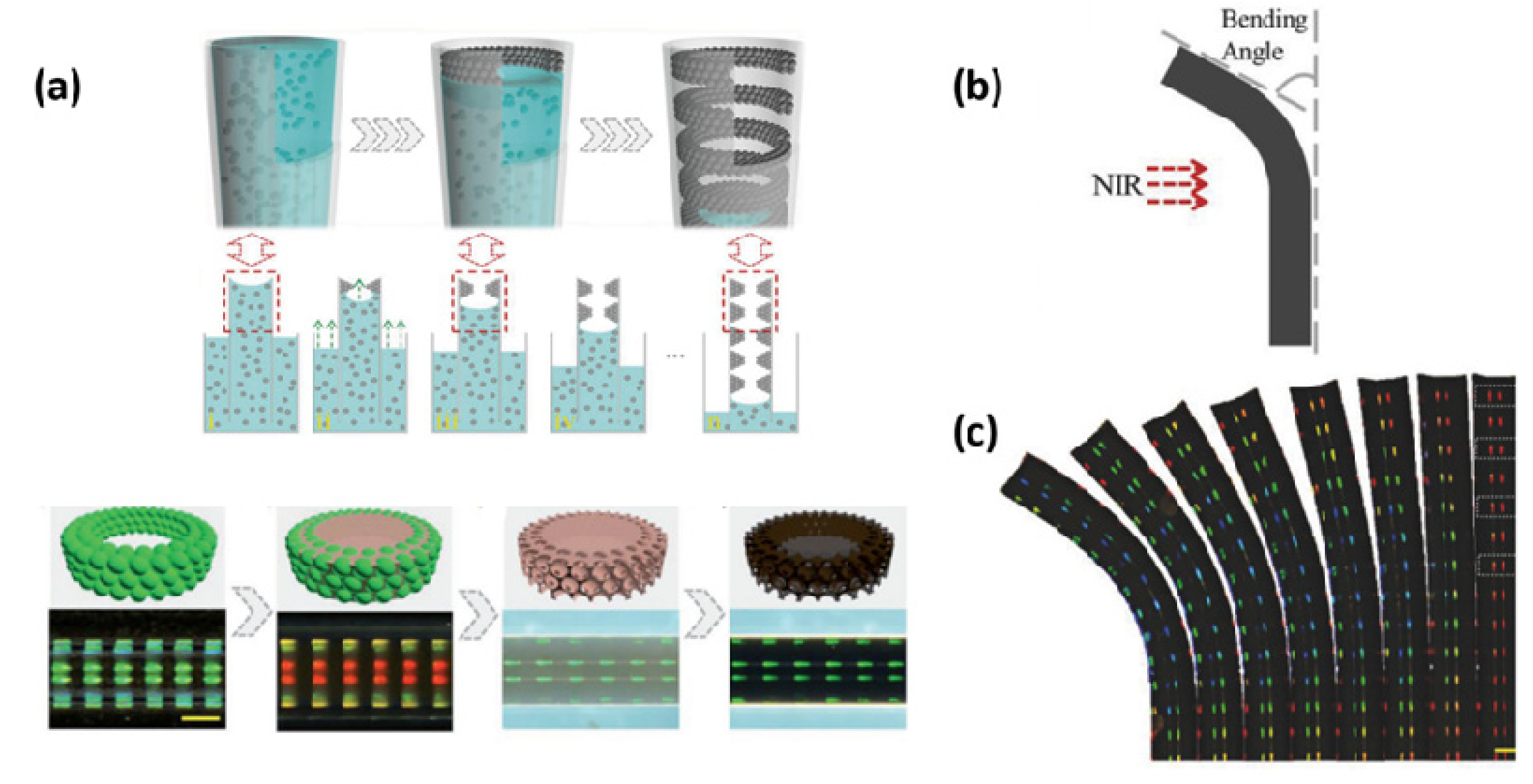 Crystals 09 00417 g004