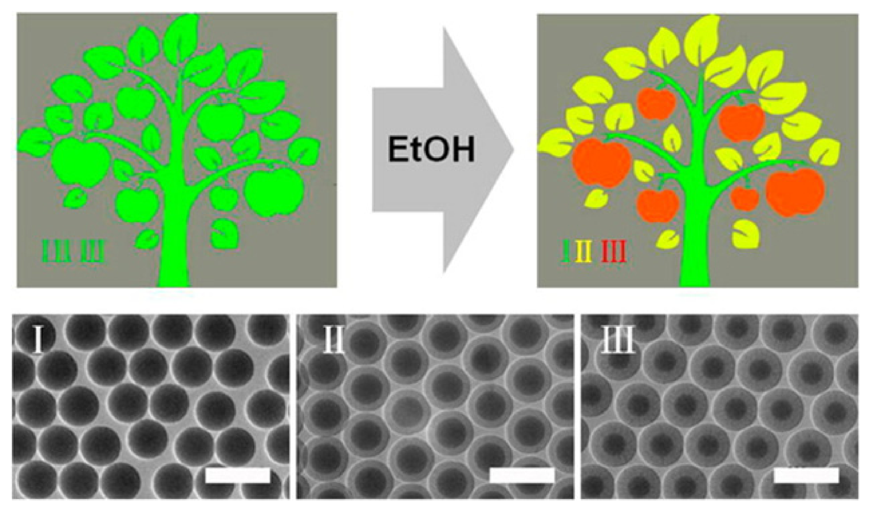 Crystals 09 00417 g005