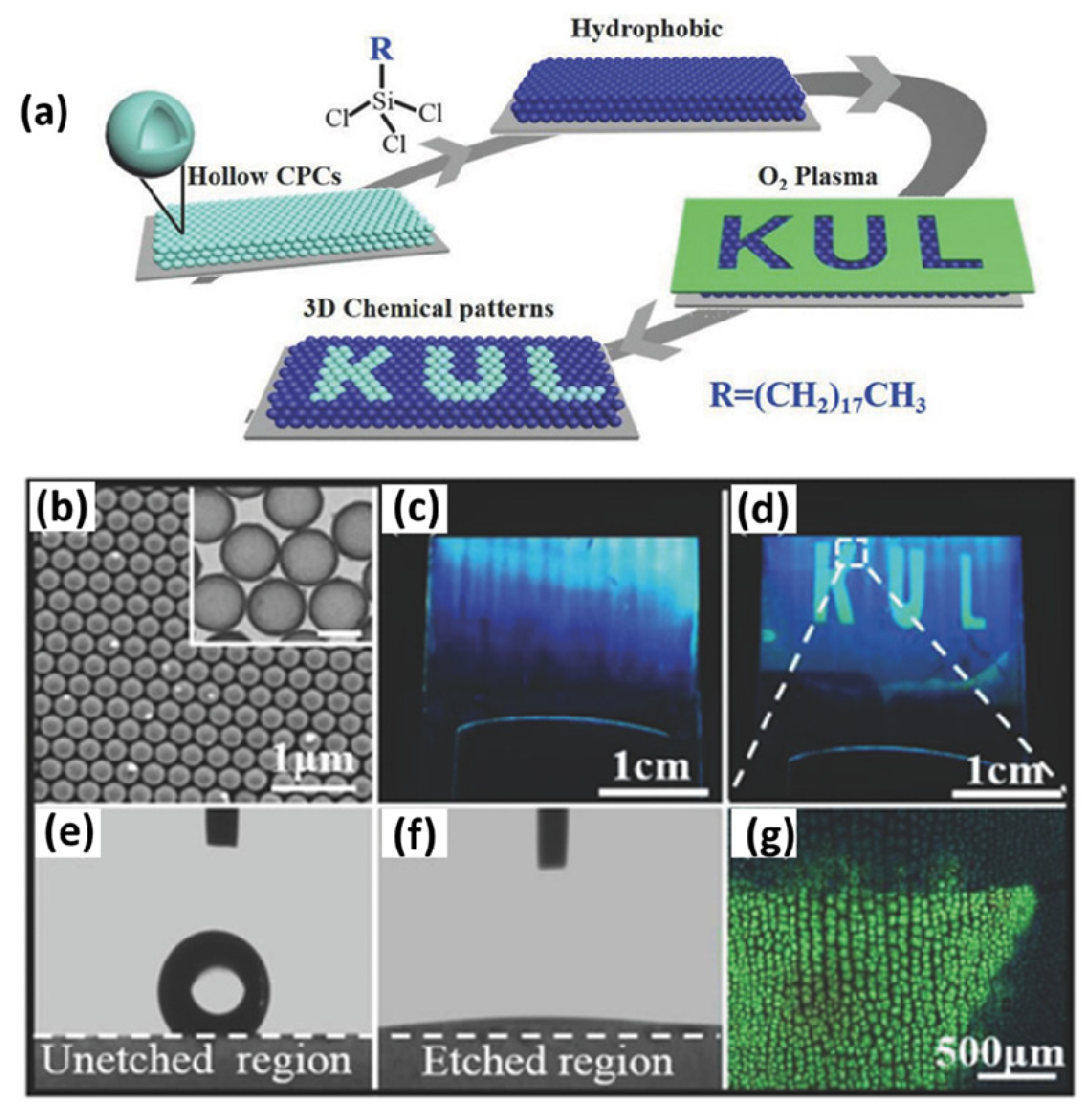 Crystals 09 00417 g007