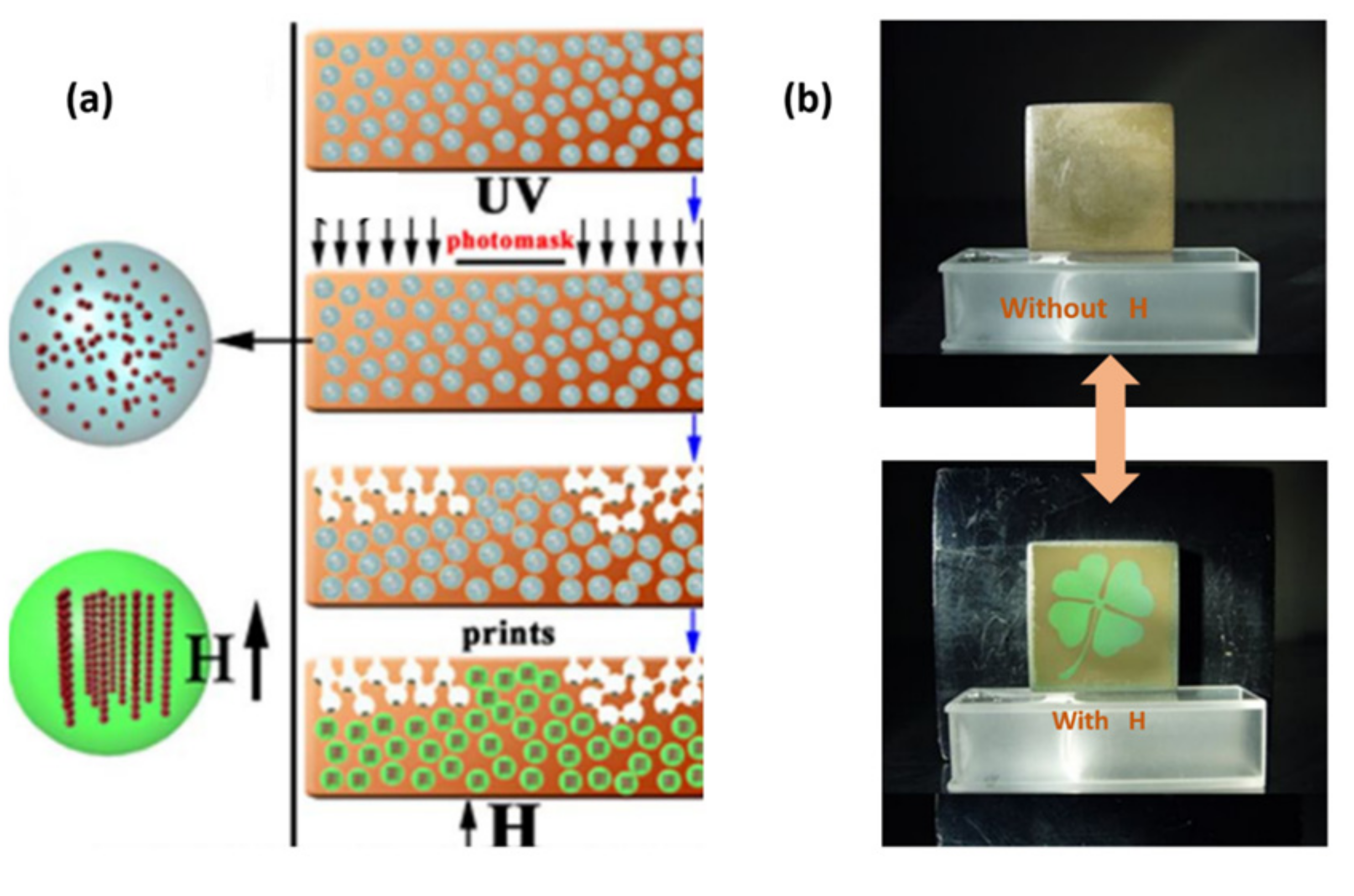Crystals 09 00417 g010