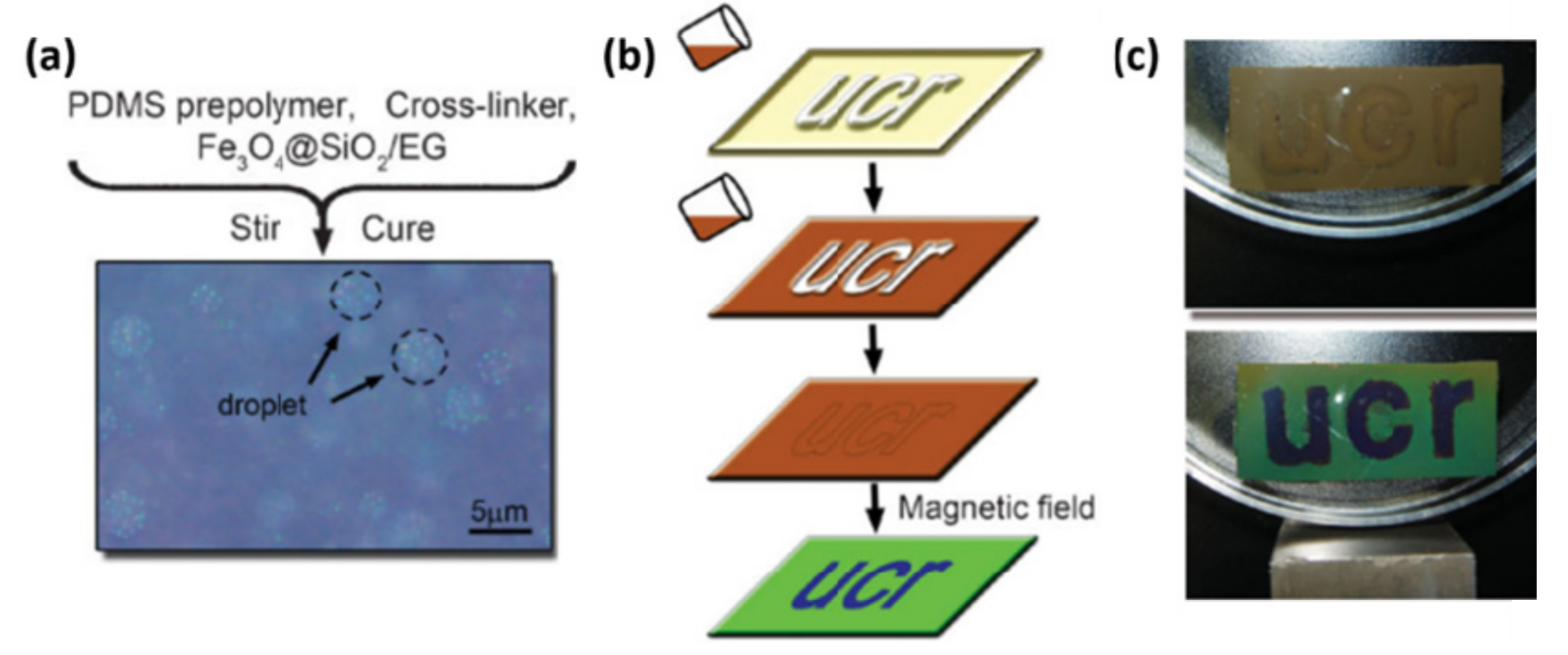 Crystals 09 00417 g011