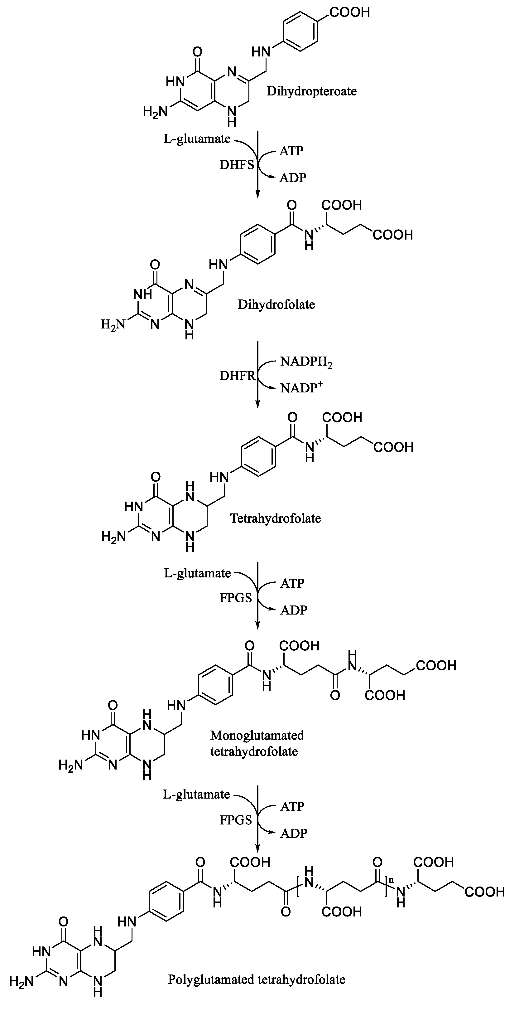 Crystals 09 00429 g001