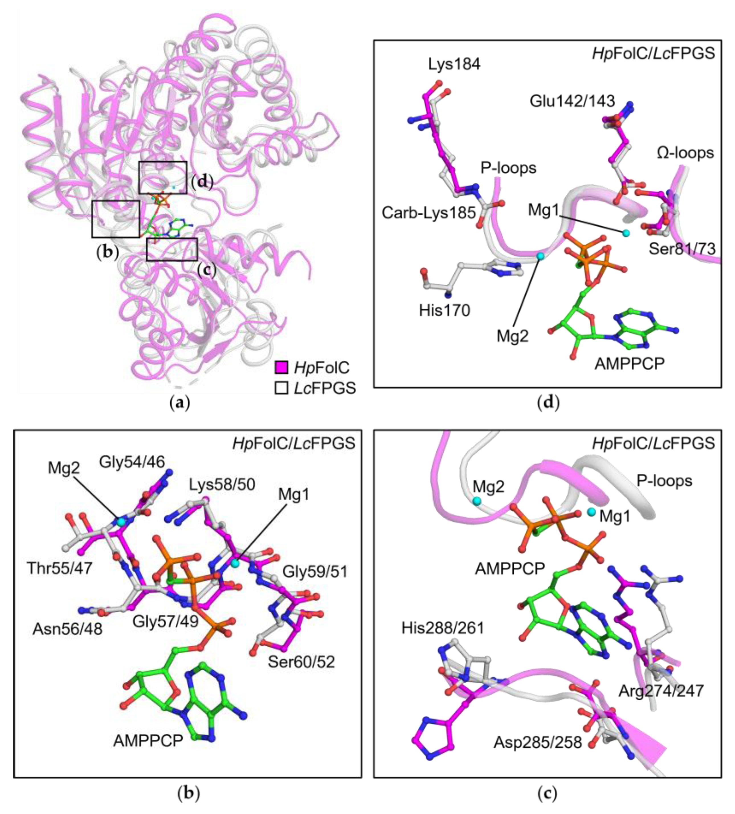 Crystals 09 00429 g004