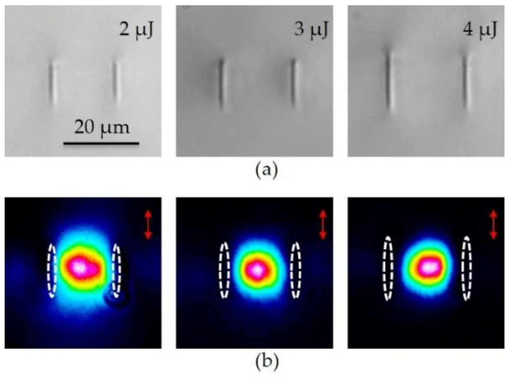 Crystals 09 00434 g007 Crystals 09 00434 g007
