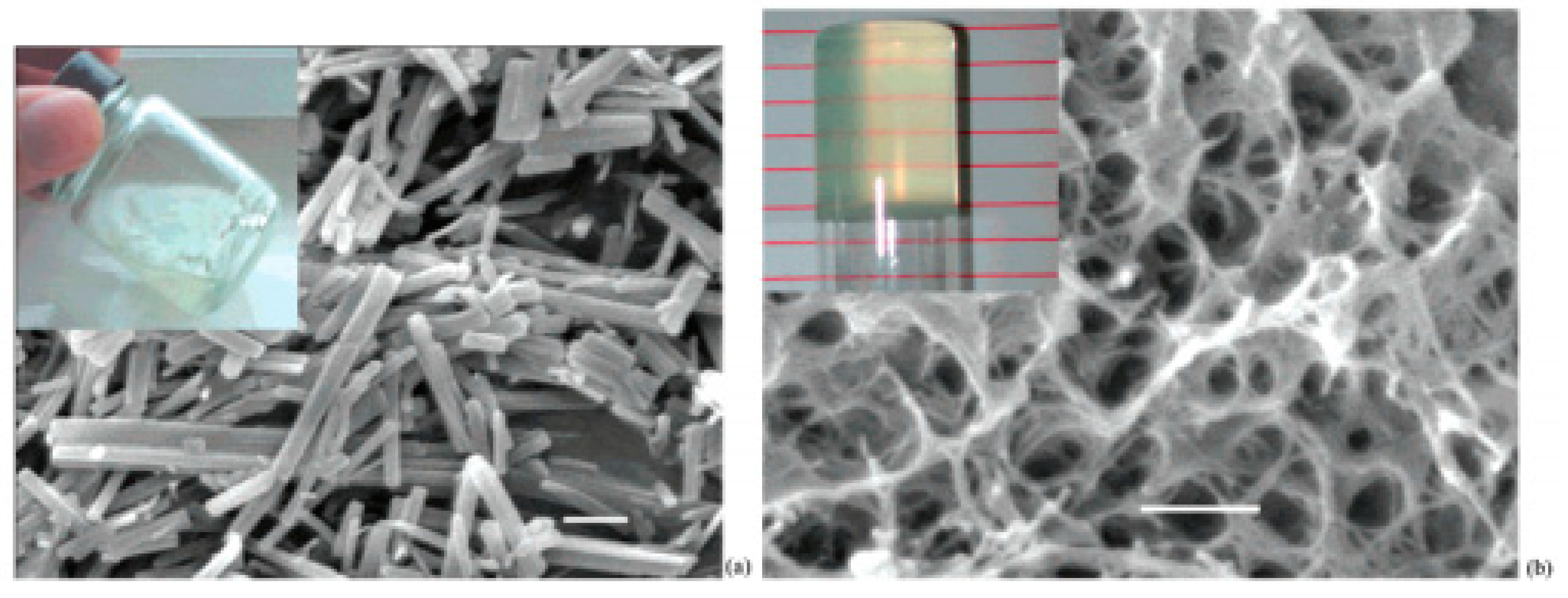 Crystals 09 00443 g008