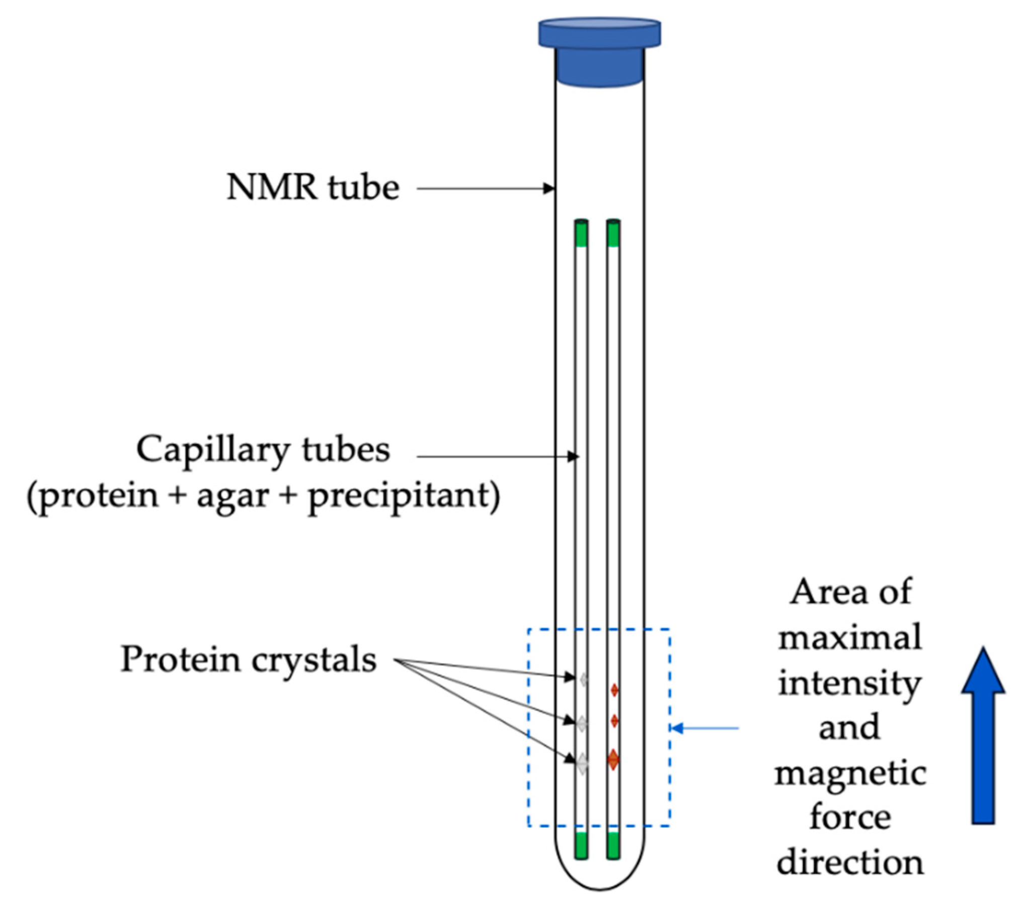 Crystals 09 00443 g012