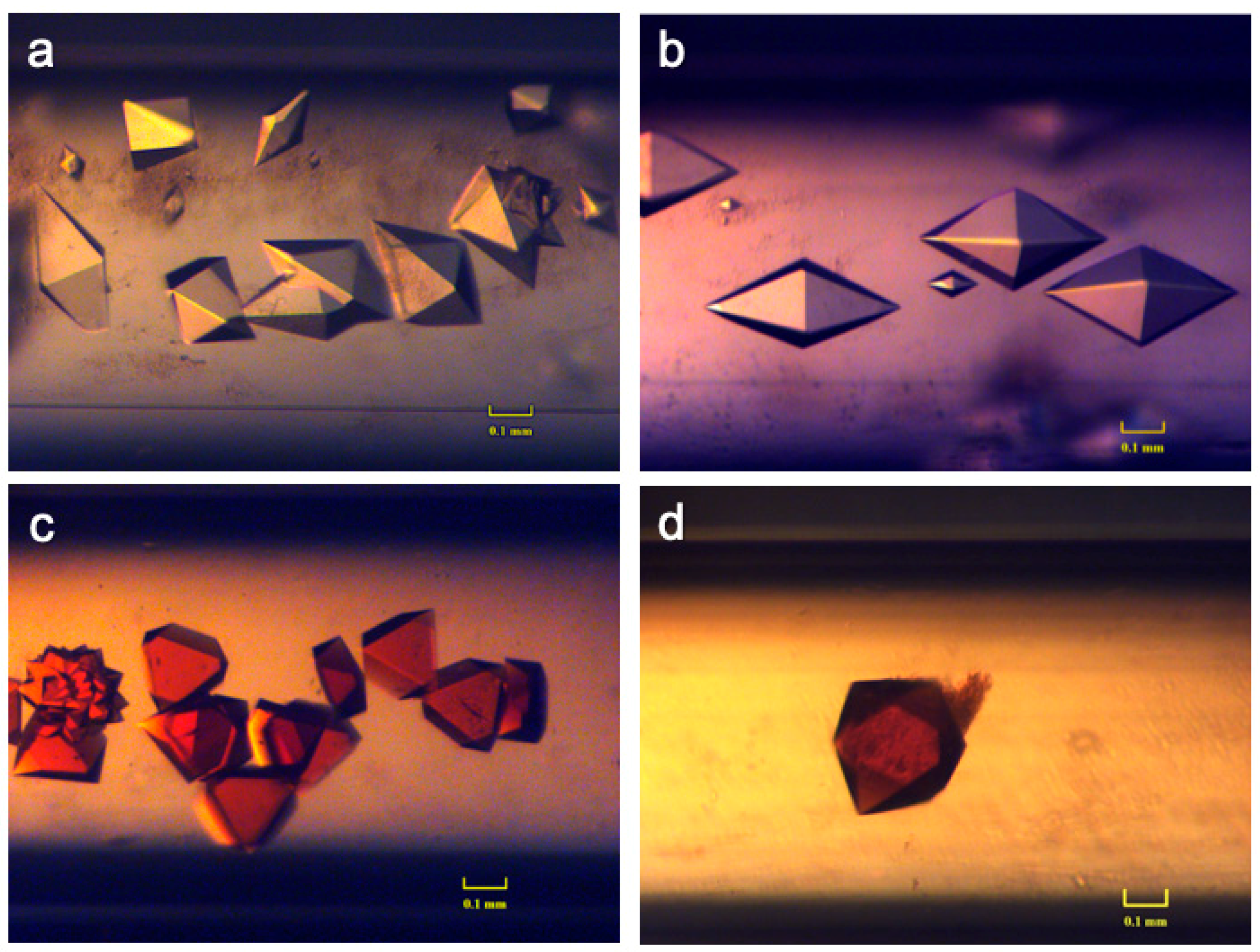 Crystals 09 00443 g014