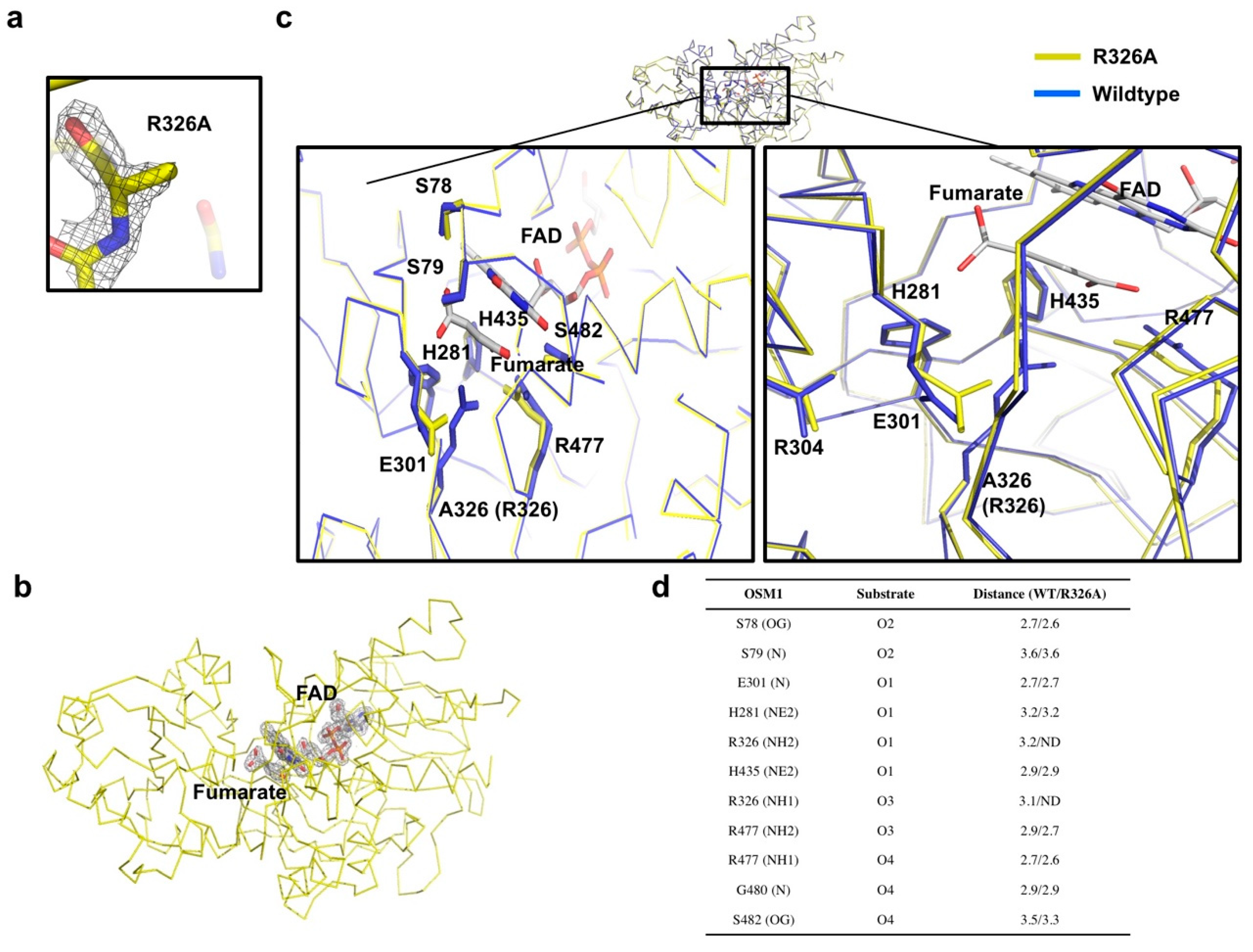 Crystals 09 00504 g002