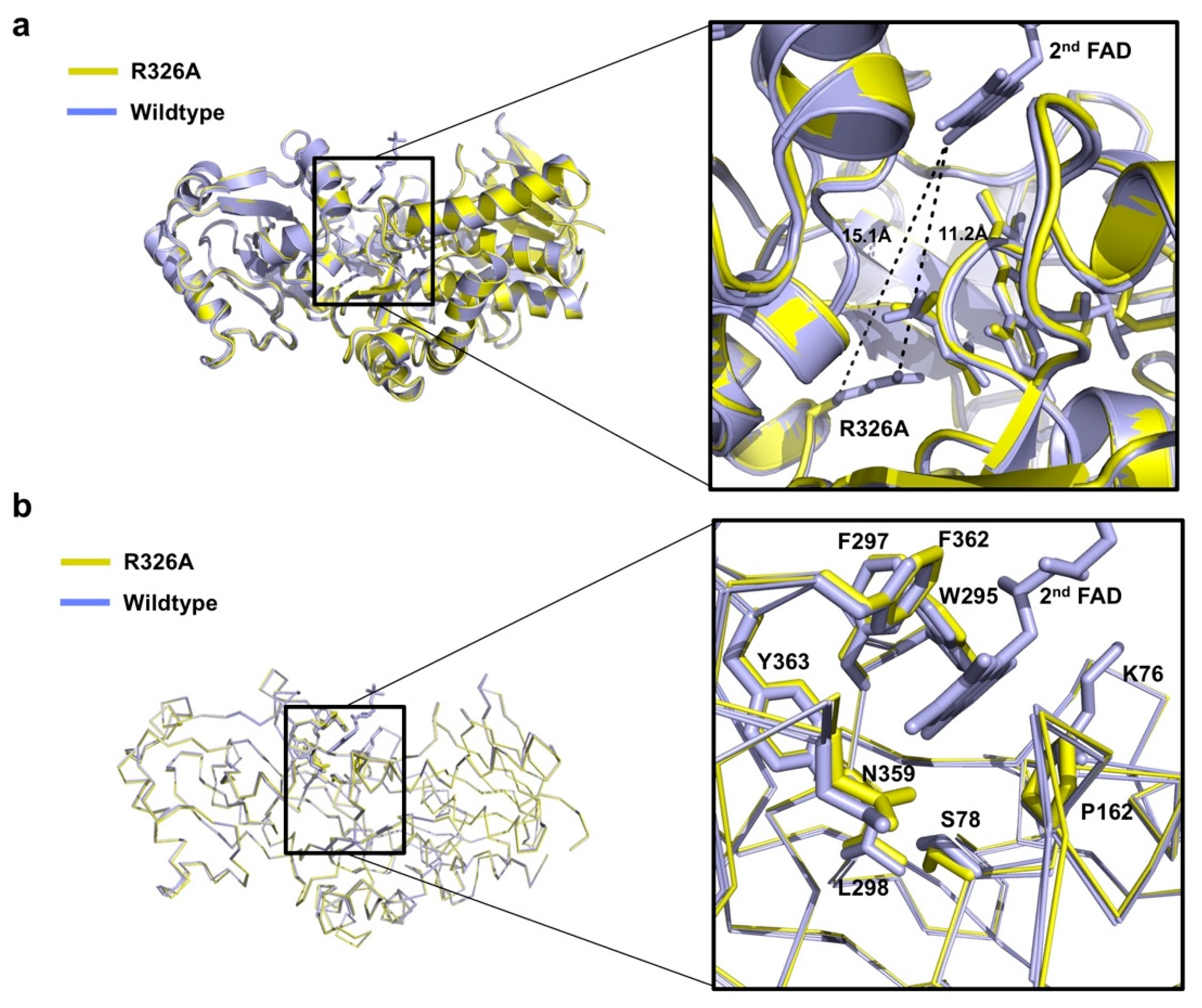 Crystals 09 00504 g003