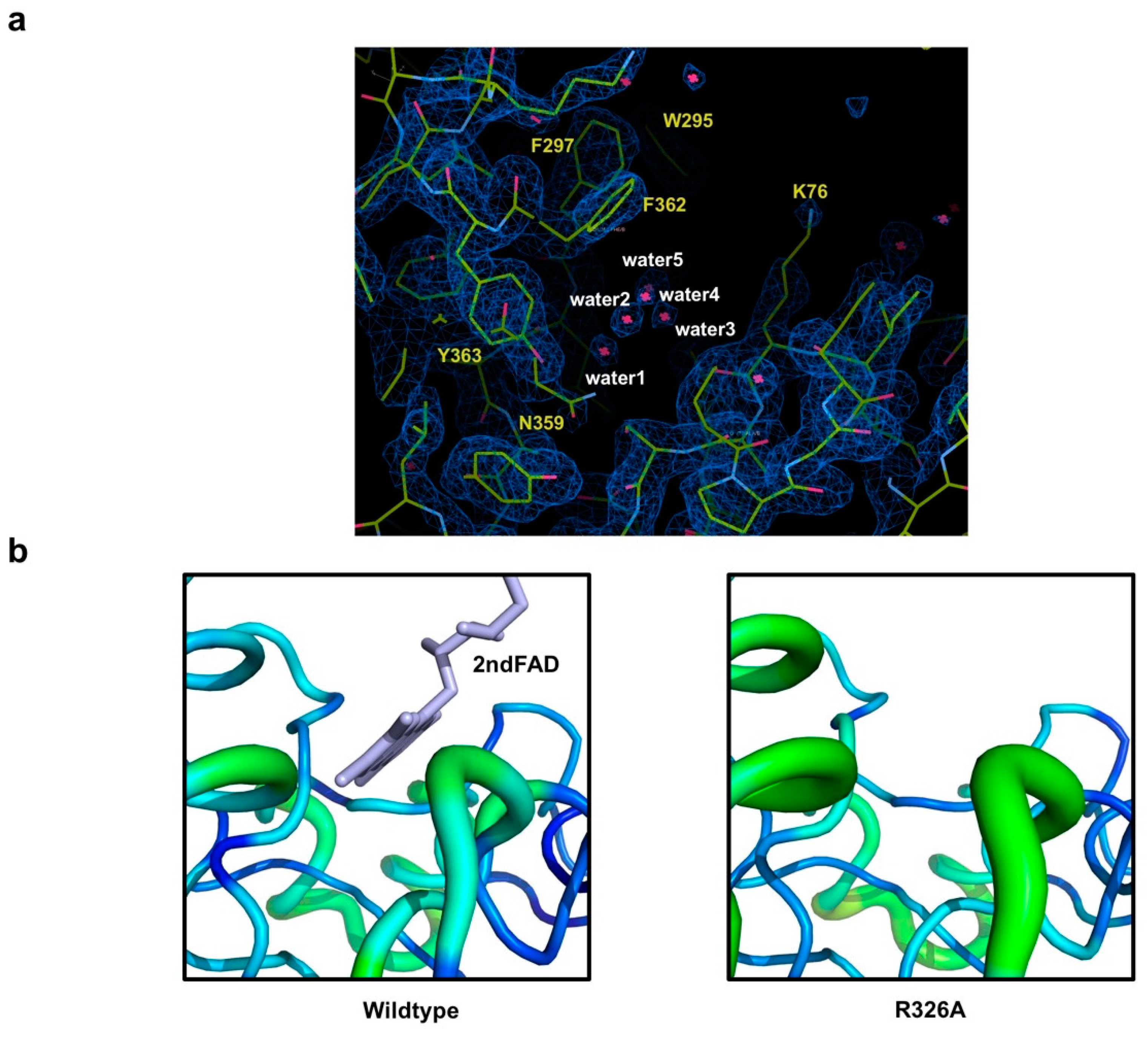Crystals 09 00504 g004