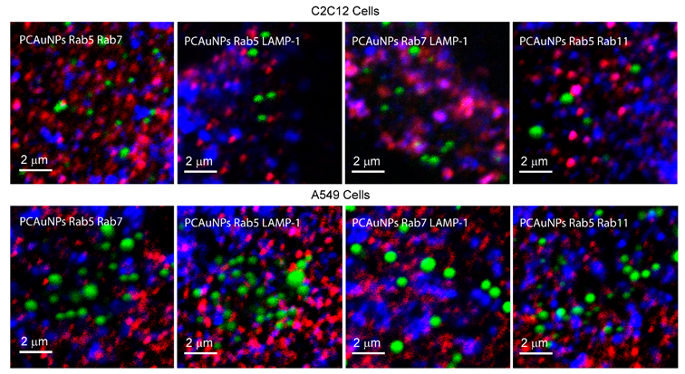 Crystals 09 00544 g004 Crystals 09 00544 g004