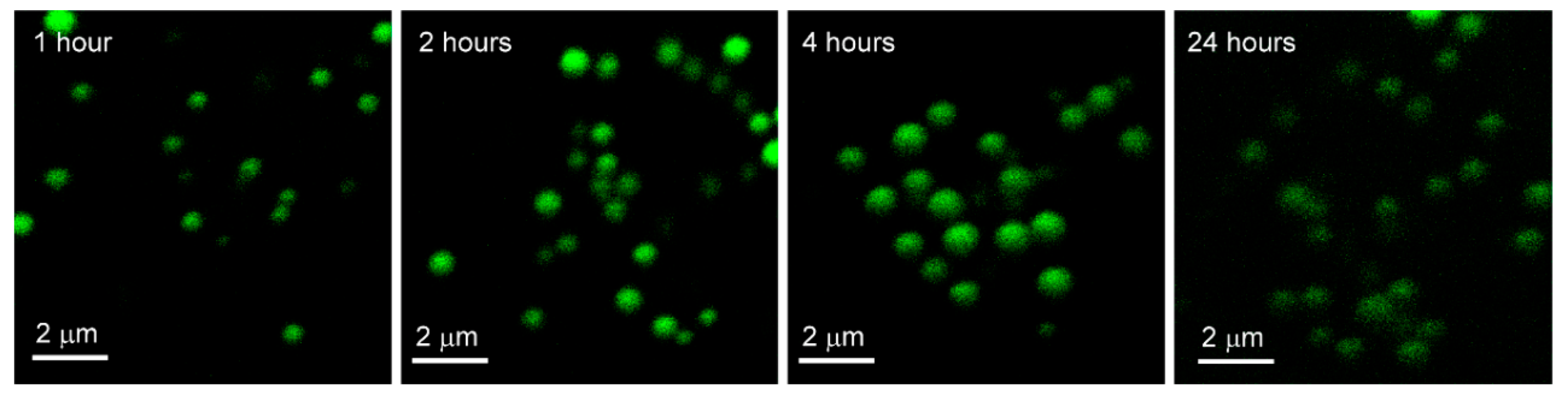 Crystals 09 00544 g005 Crystals 09 00544 g005