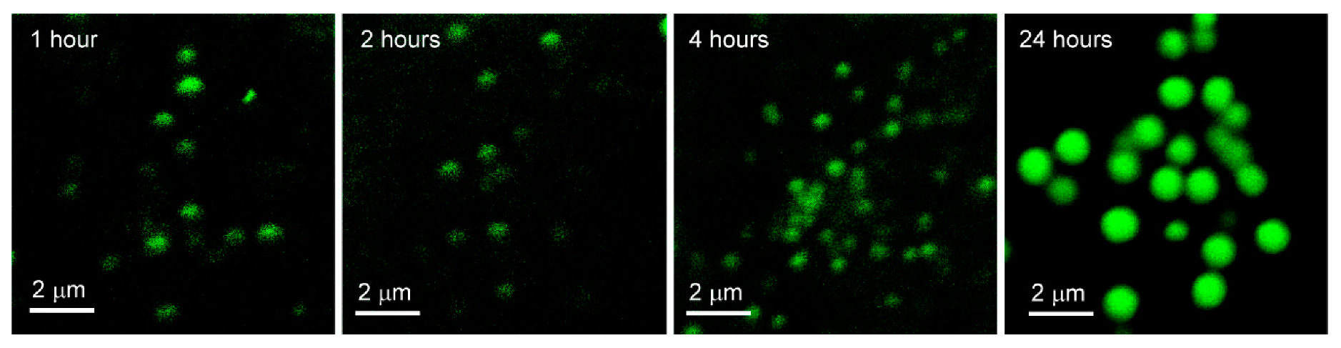 Crystals 09 00544 g007 Crystals 09 00544 g007