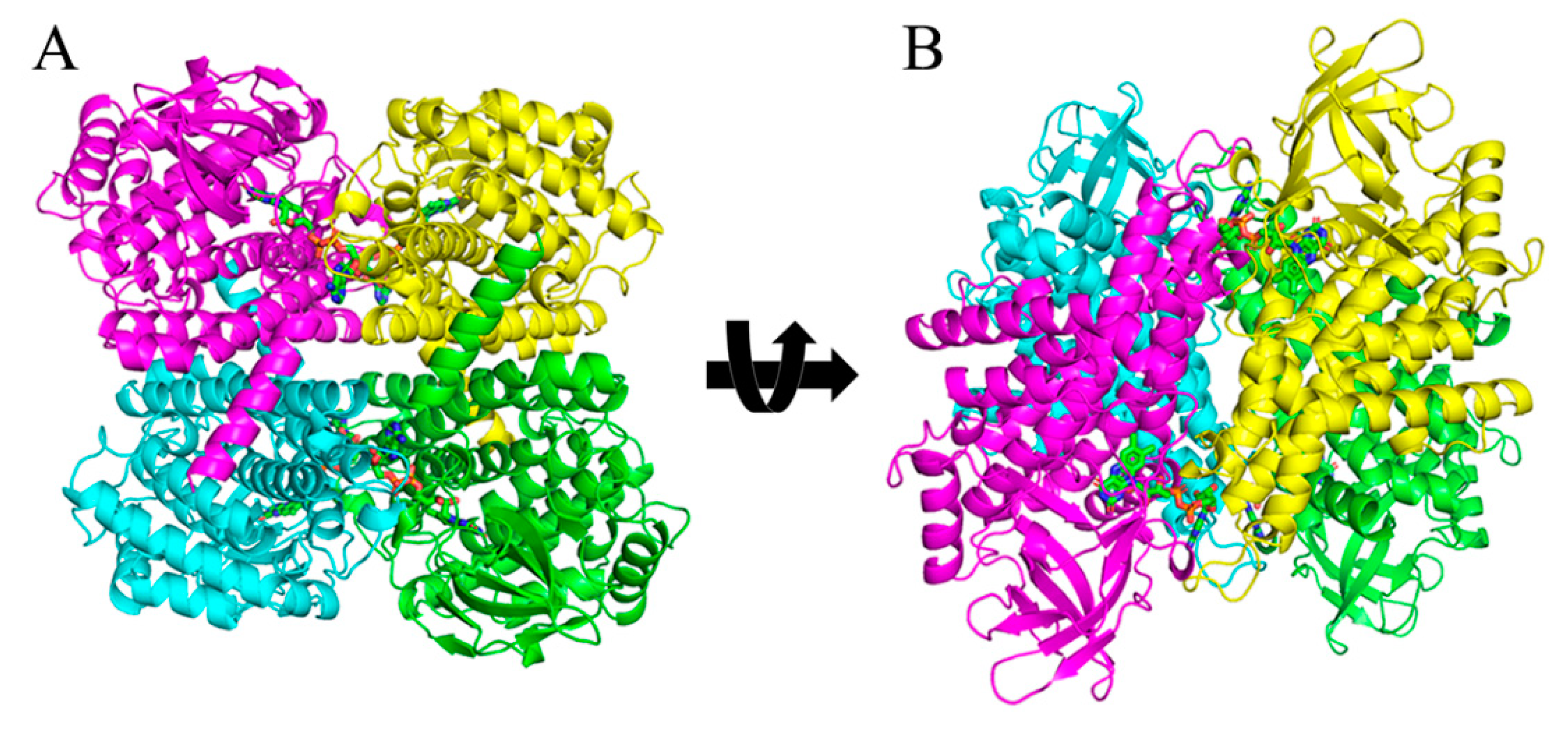 Crystals 09 00548 g001 Crystals 09 00548 g001