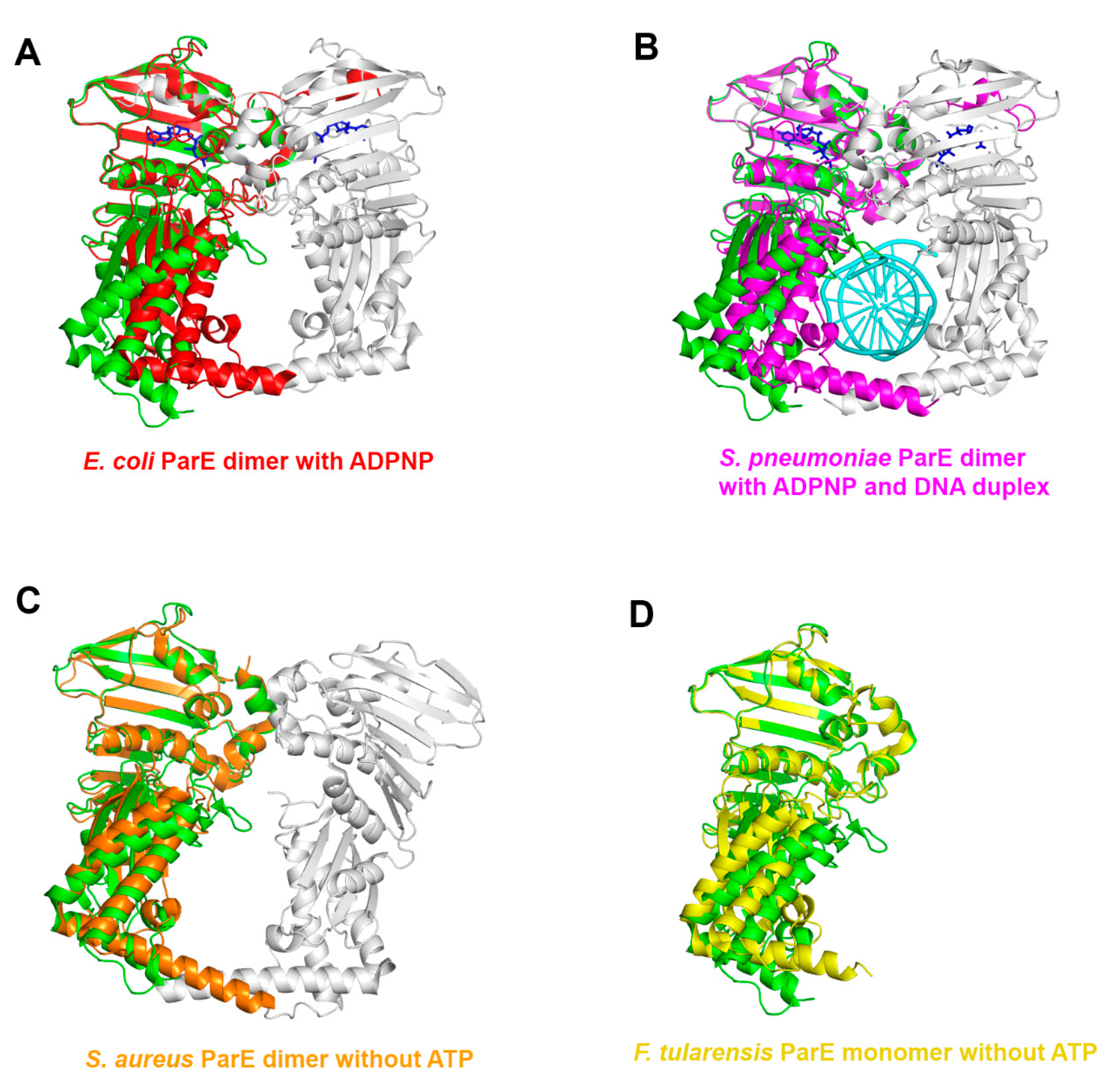 Crystals 09 00577 g002