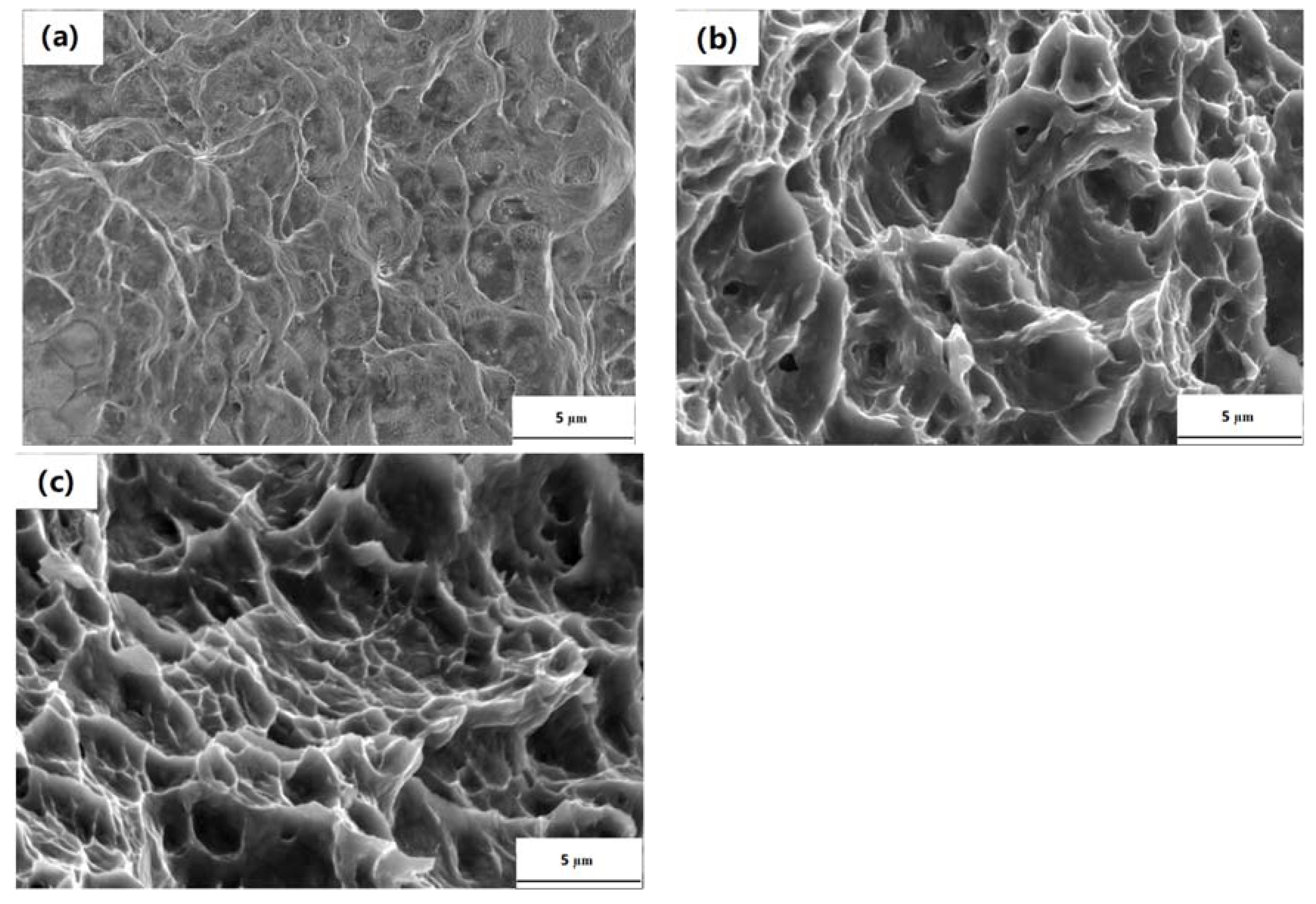 Crystals 09 00586 g008