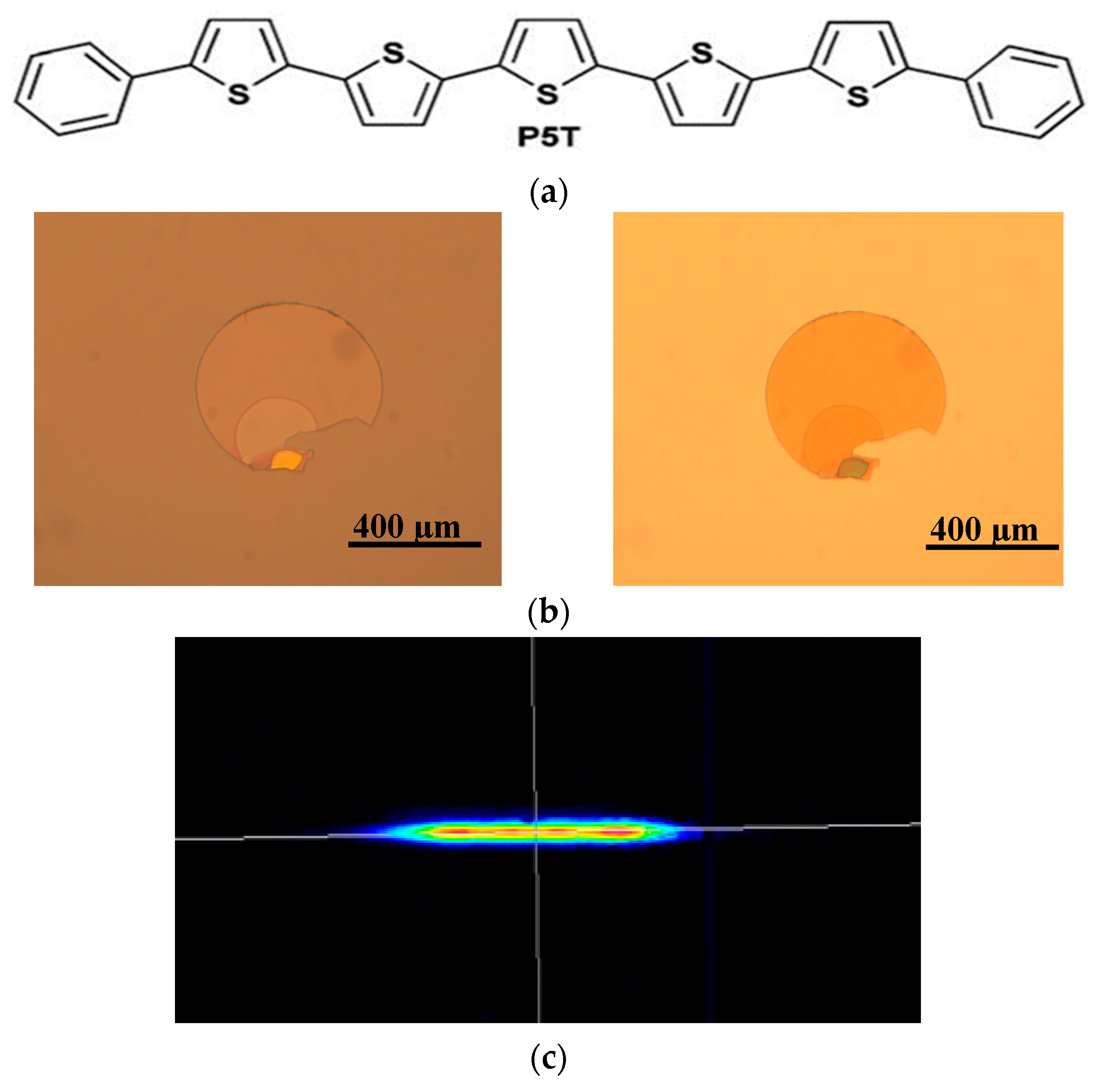 Crystals 09 00609 g001