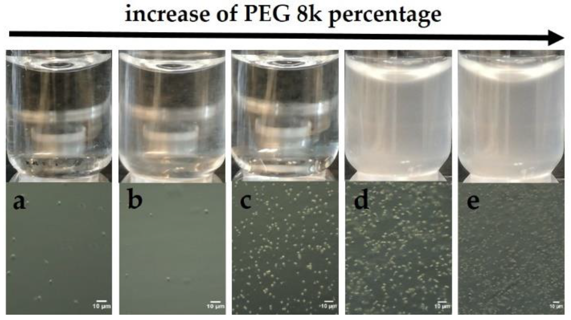 Crystals 09 00620 g001