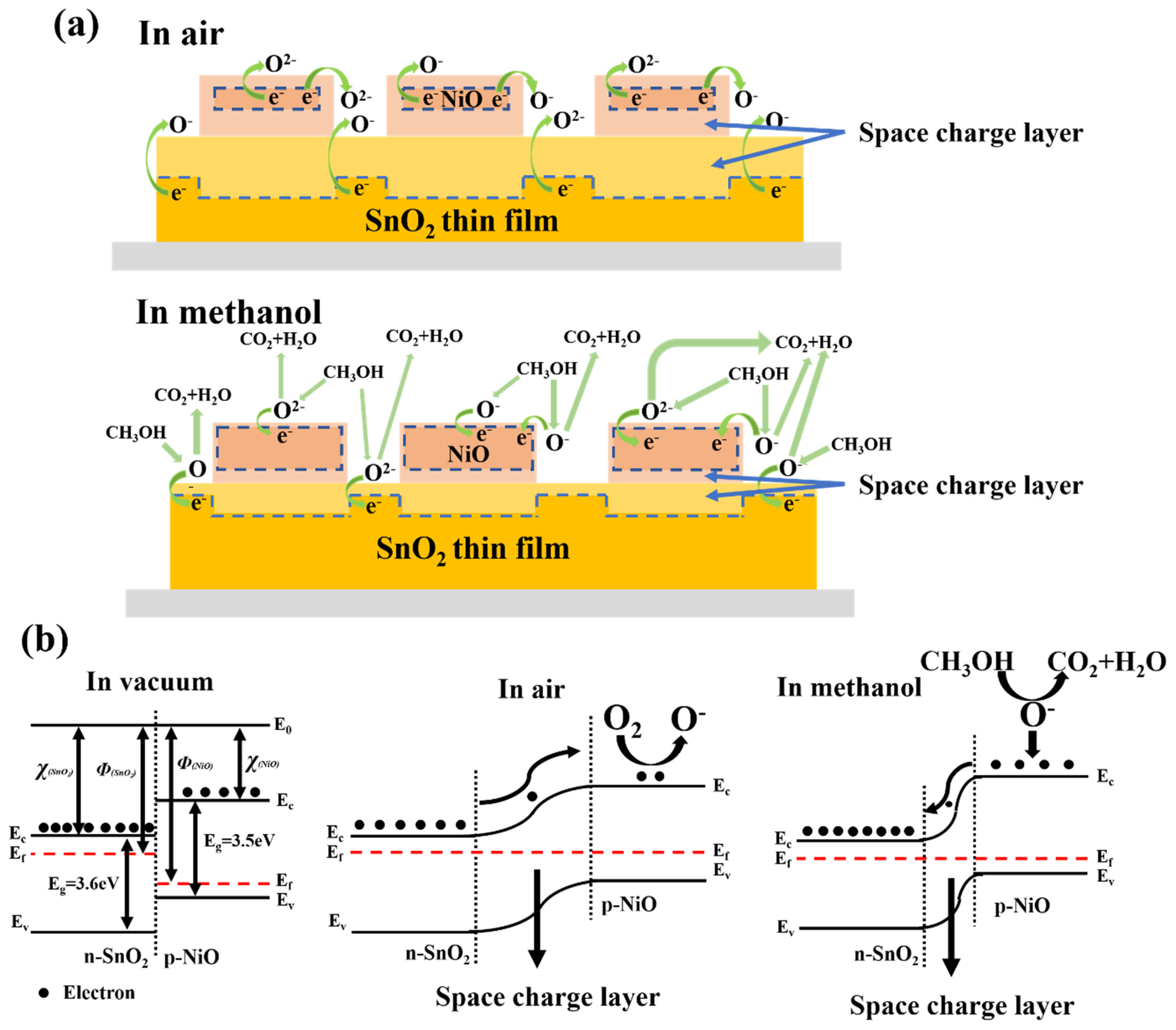 Crystals 09 00621 g005
