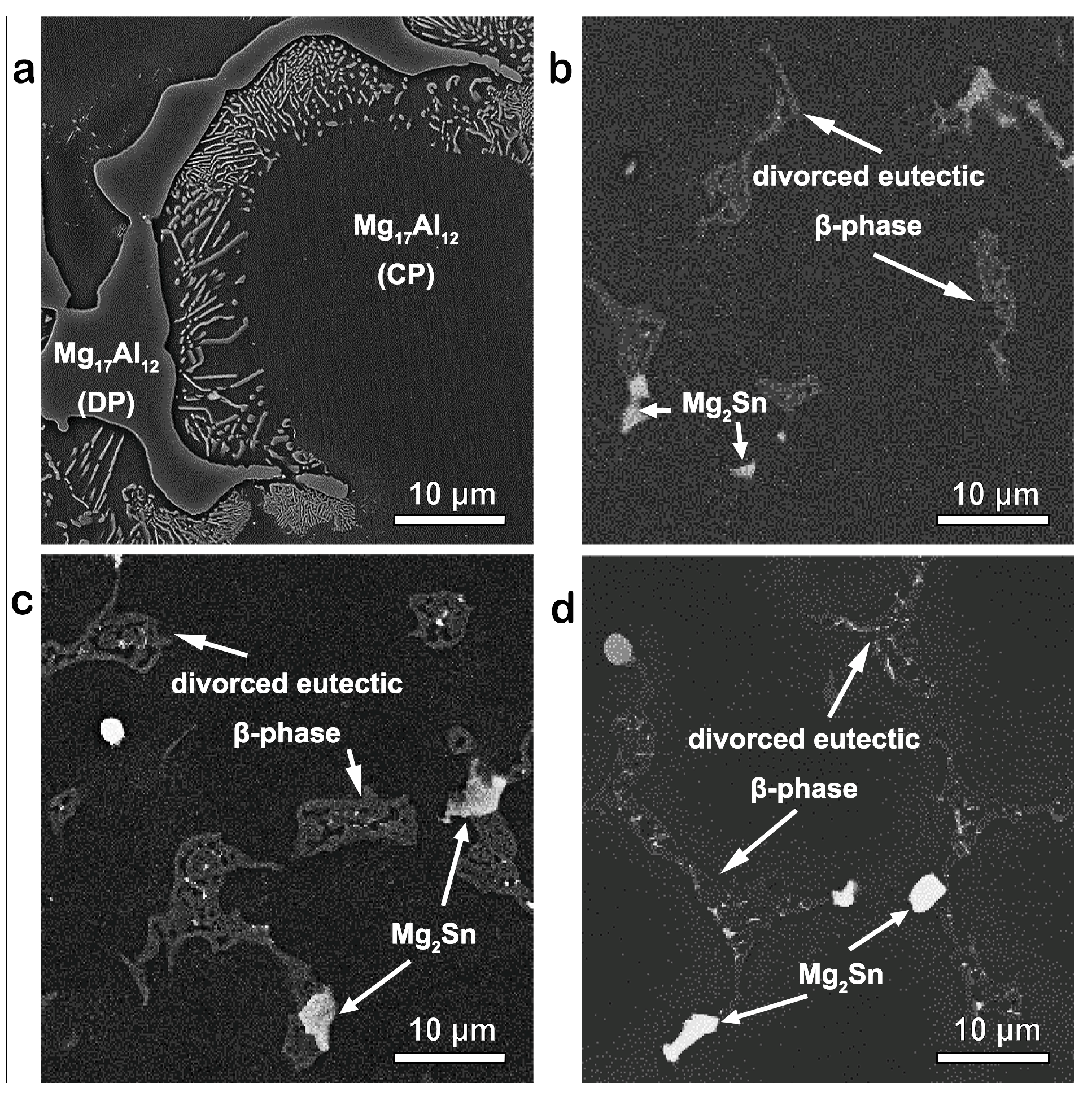 Rheological Solidification Behavior and Mechanical Properties of AZ91 ...