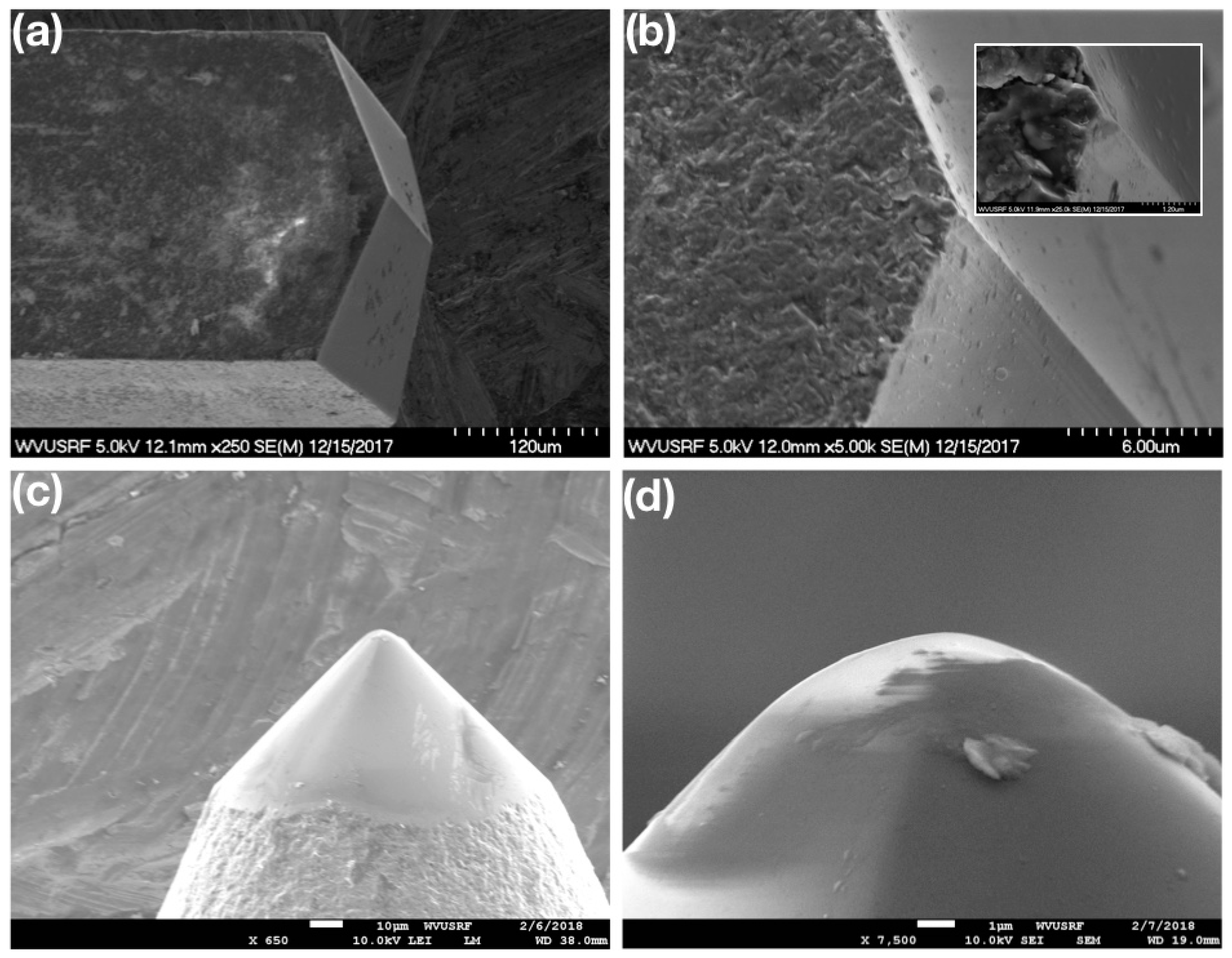 Crystals 09 00652 g003