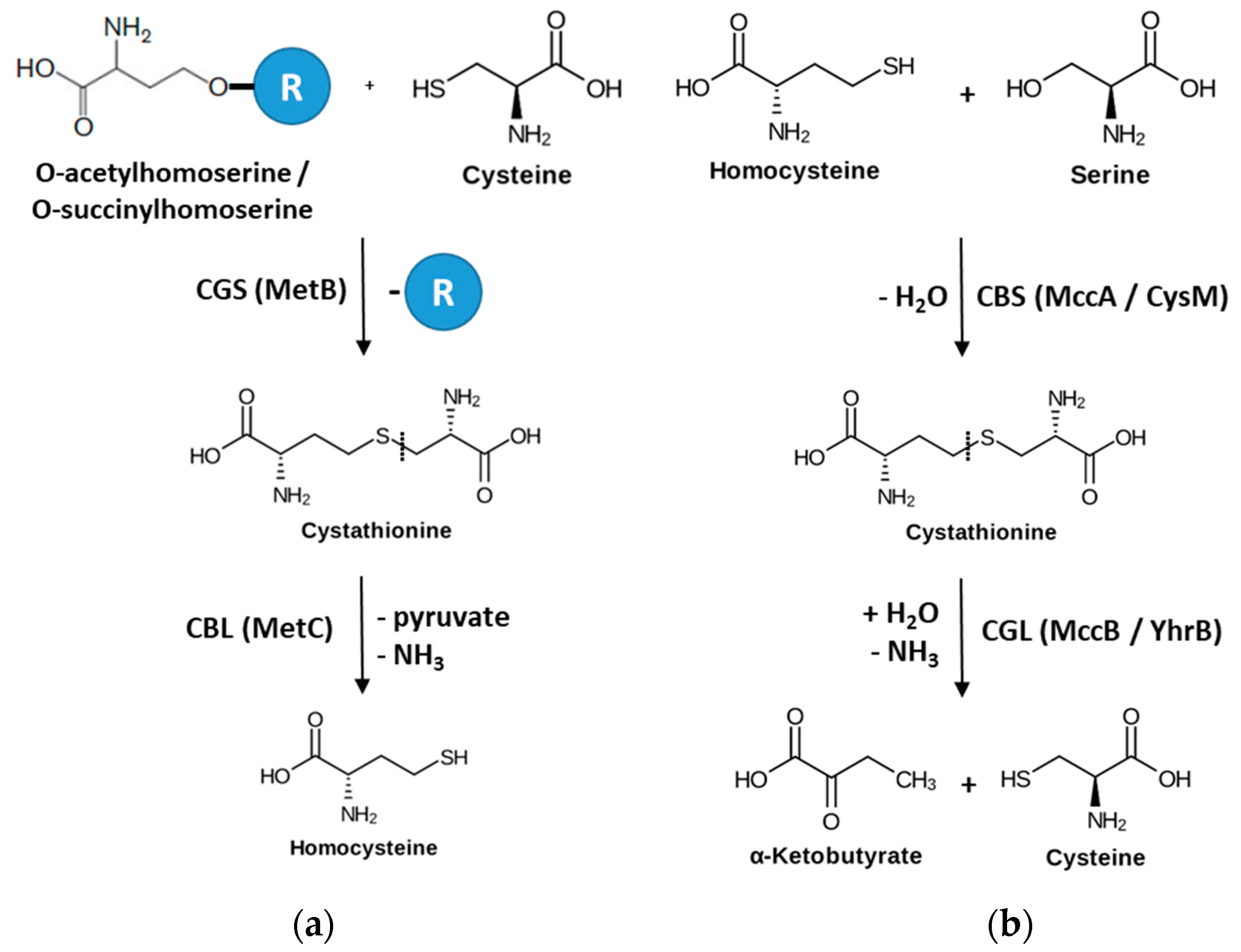 Crystals 09 00656 g001