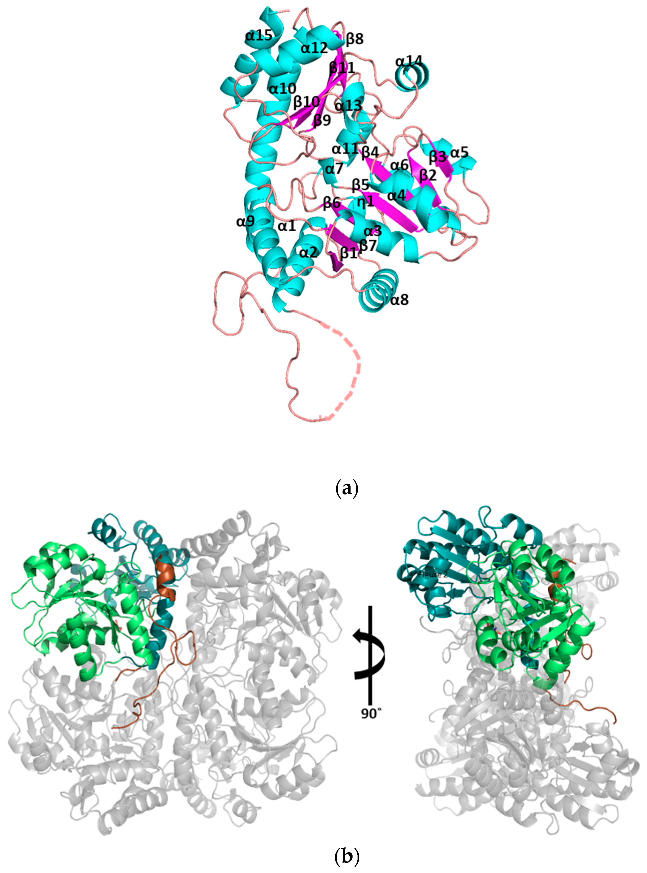 Crystals 09 00656 g002a