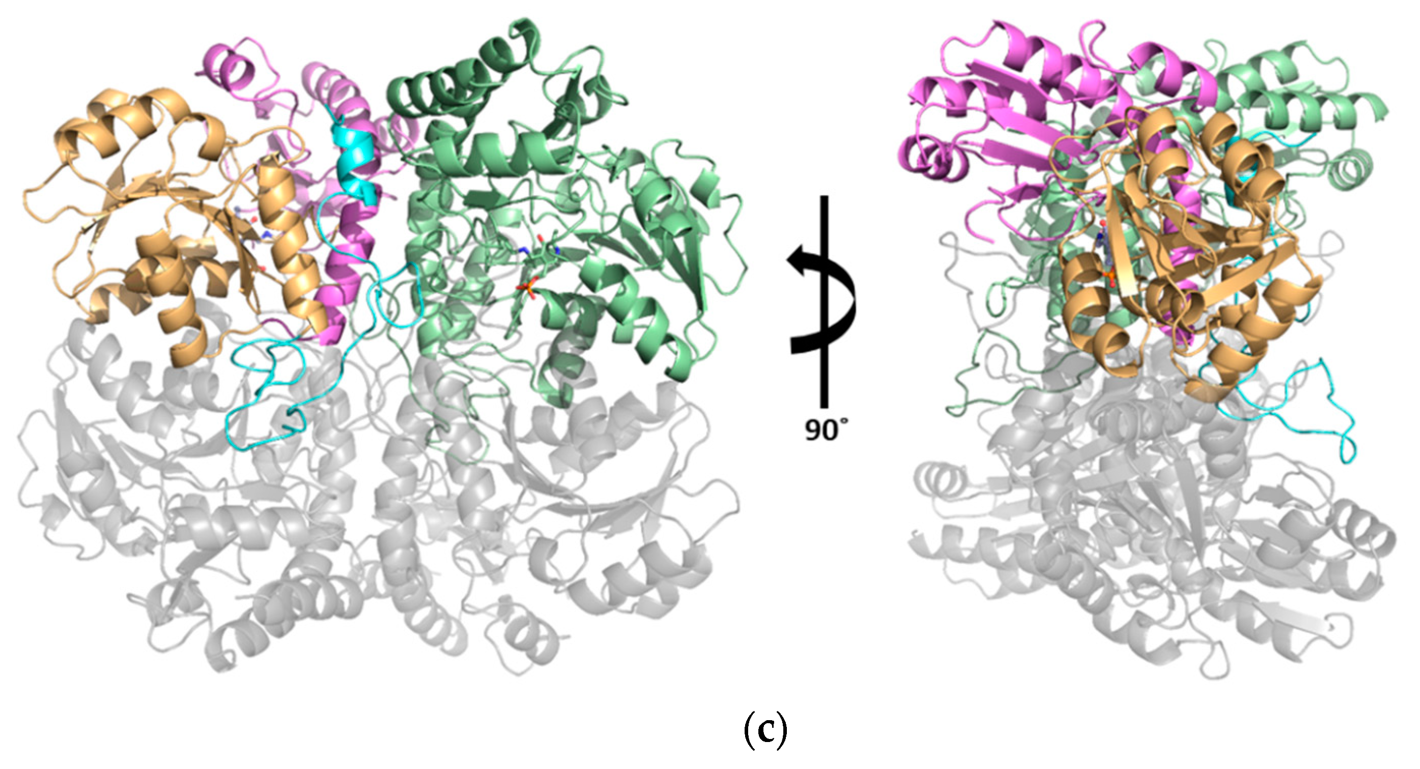 Crystals 09 00656 g002b