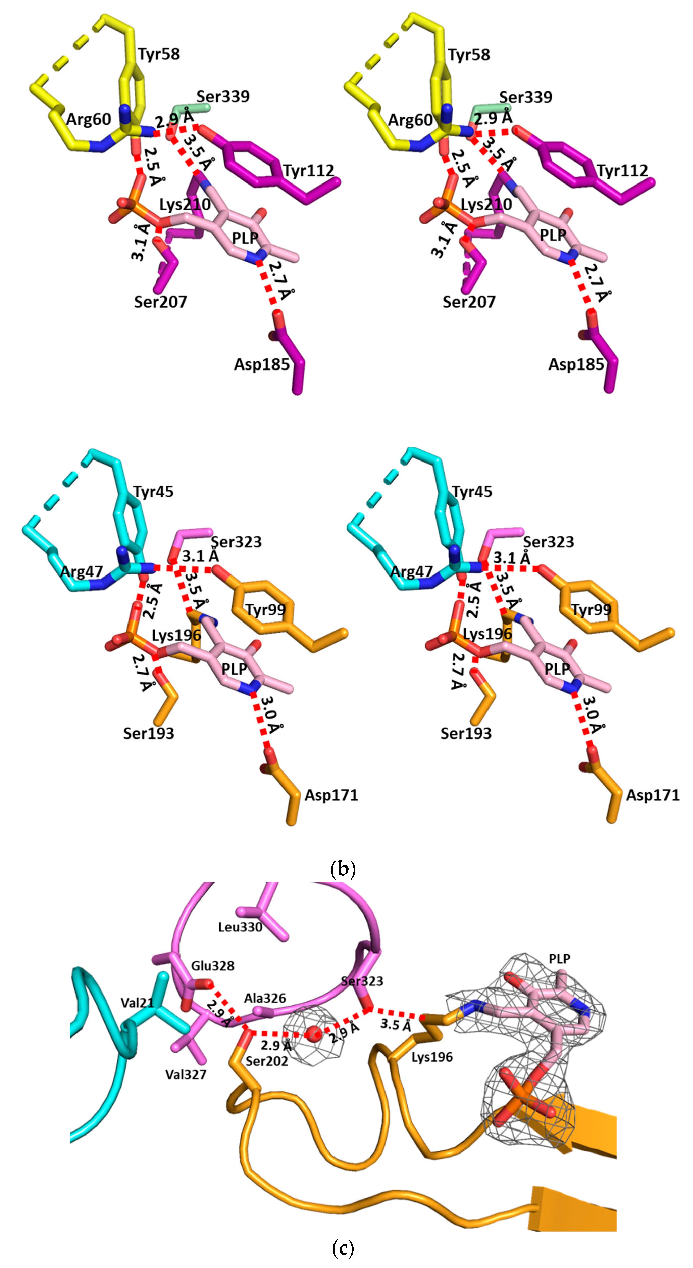 Crystals 09 00656 g003b