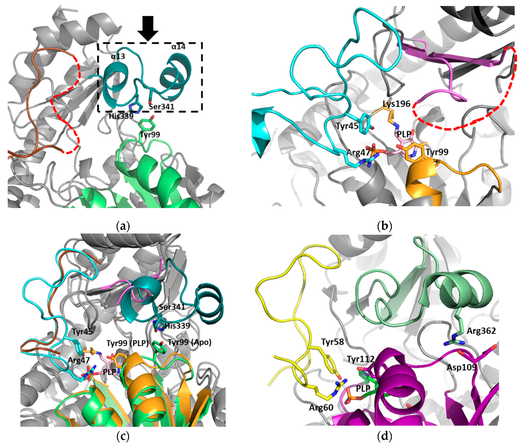 Crystals 09 00656 g004