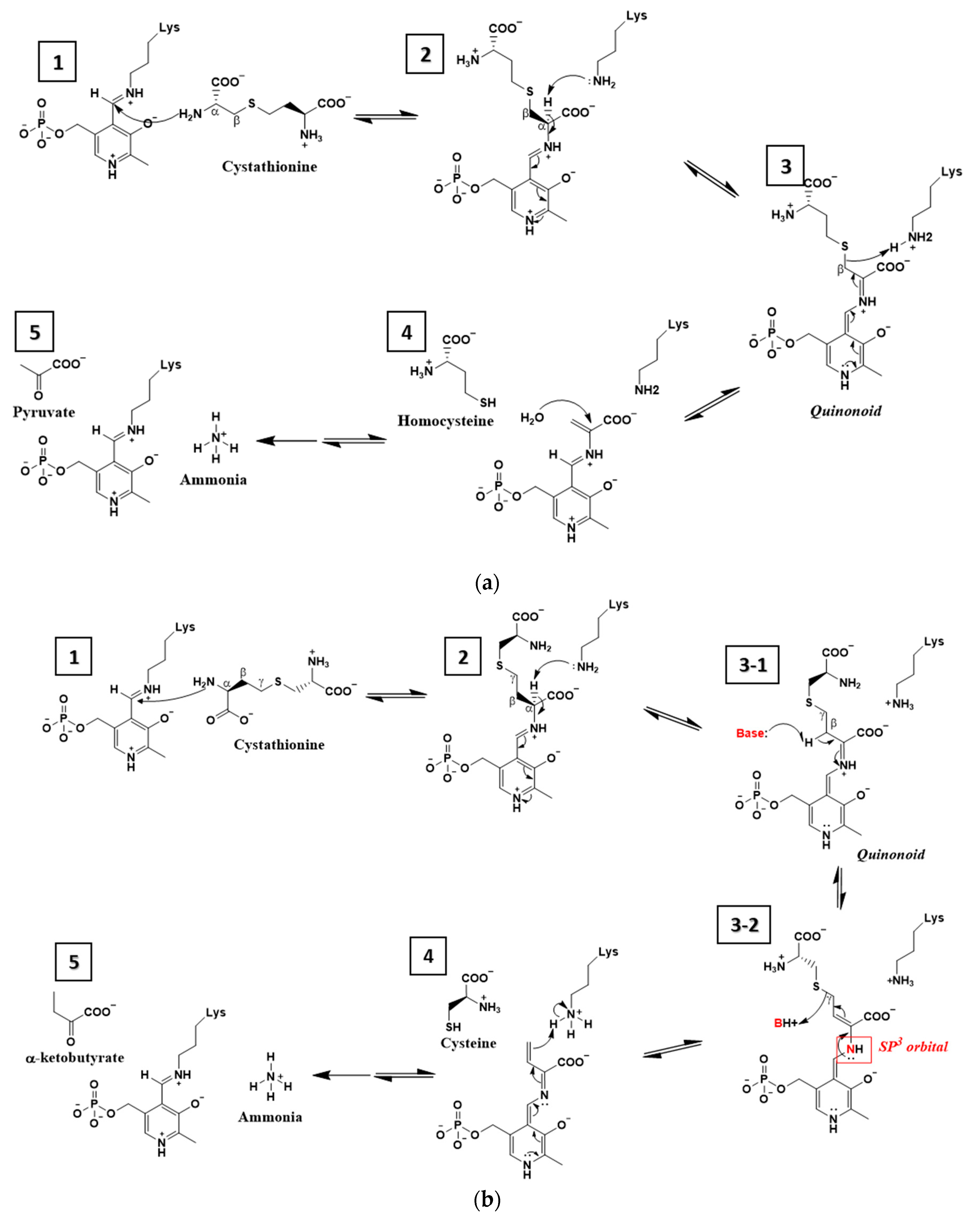 Crystals 09 00656 g005