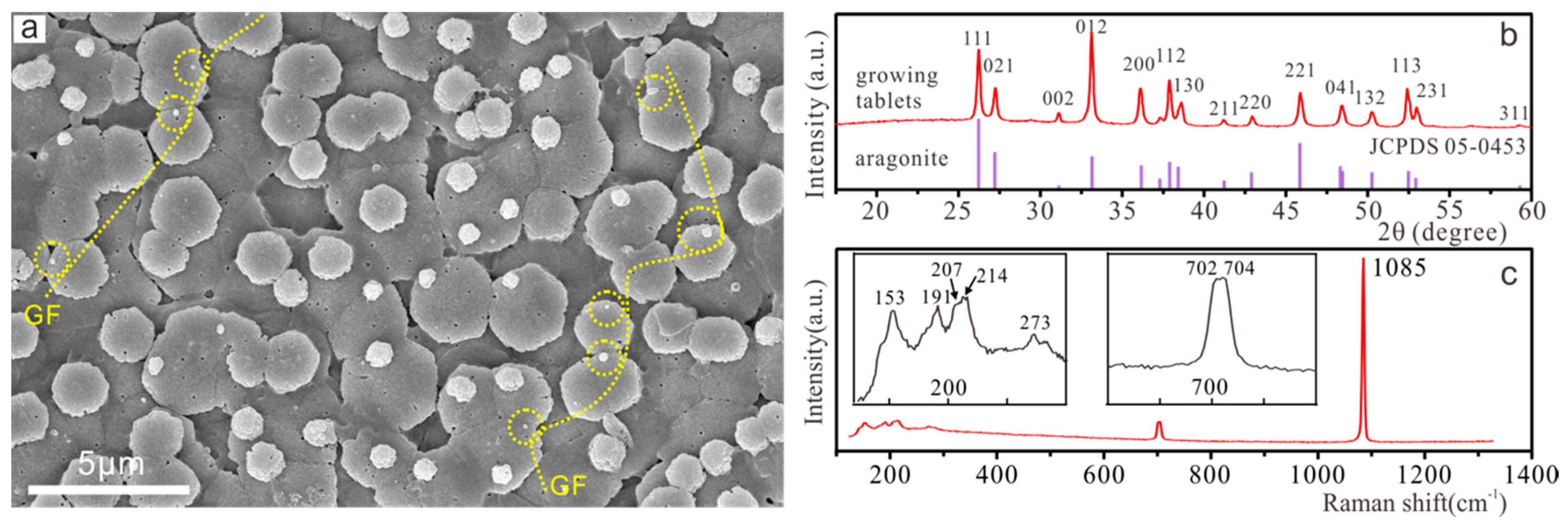 Crystals 10 00003 g002