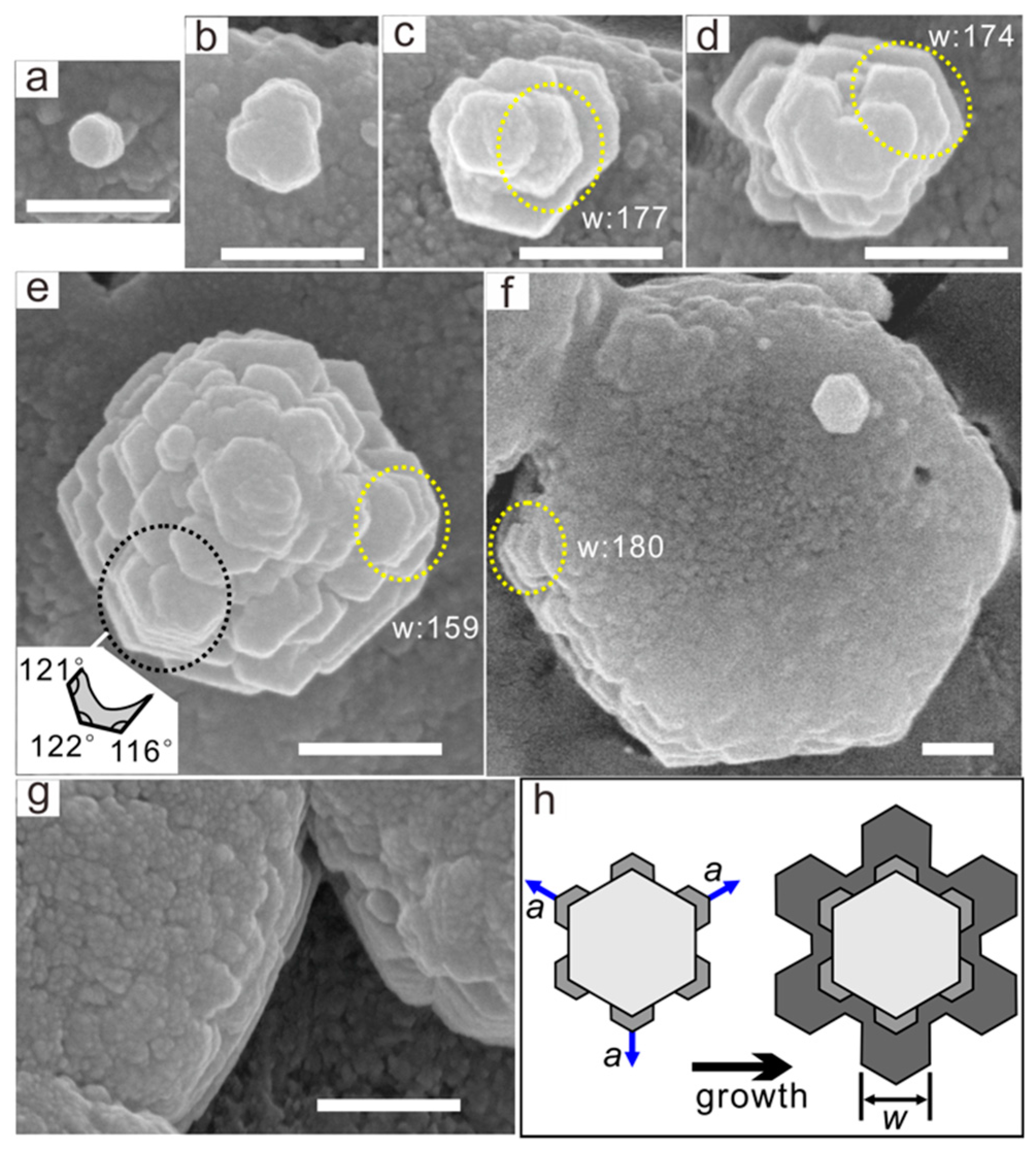 Crystals 10 00003 g003