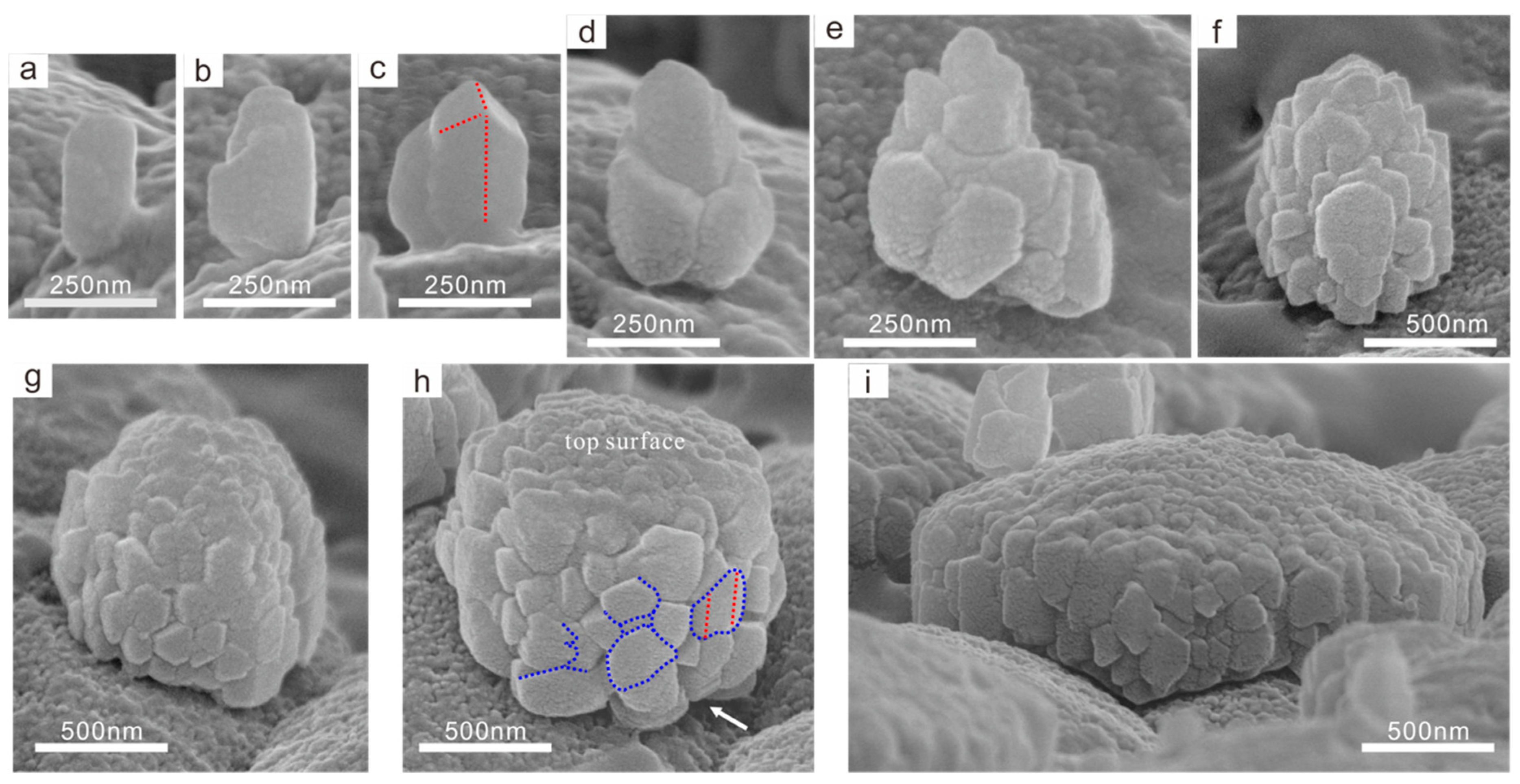 Crystals 10 00003 g004