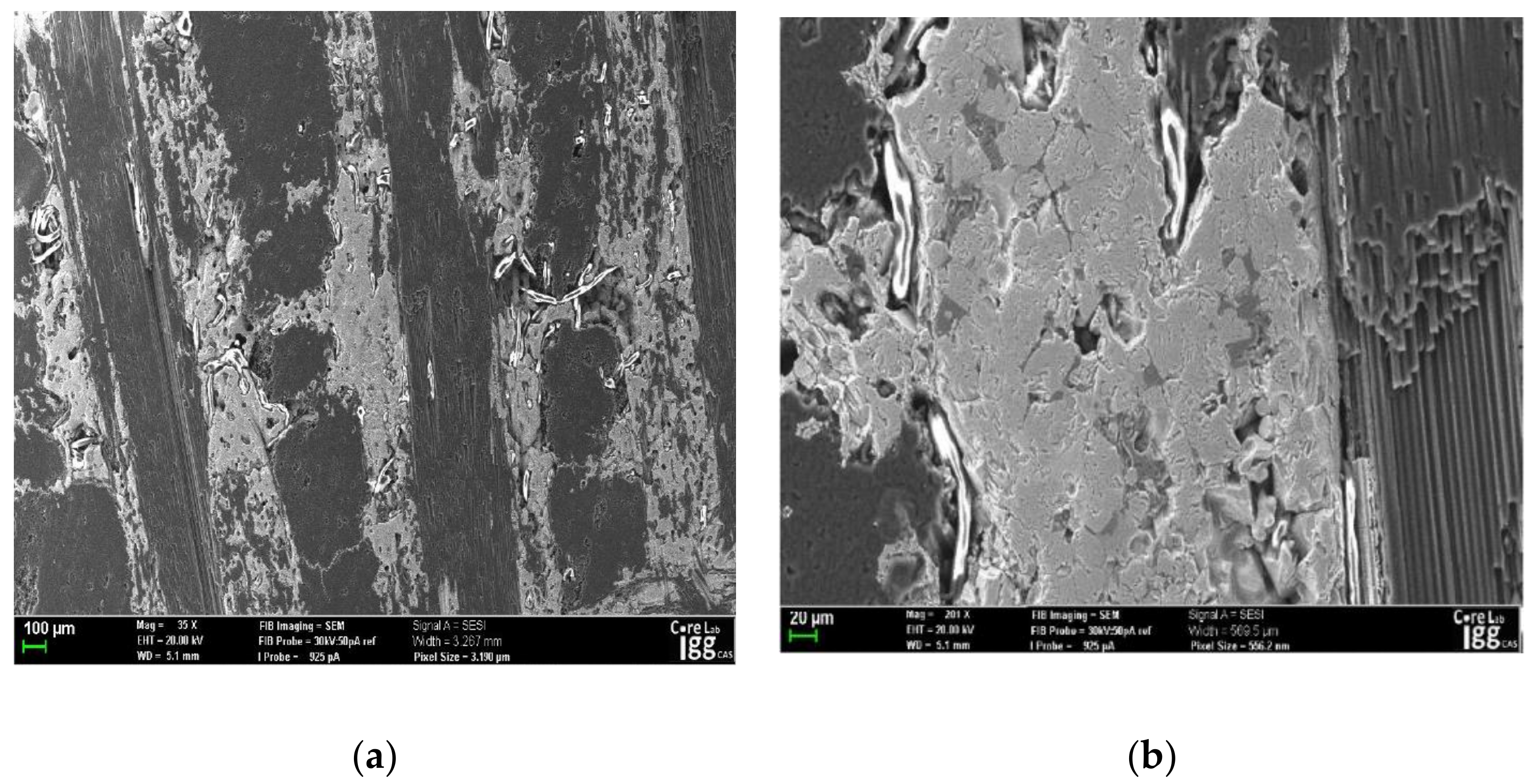 Crystals 10 00029 g002 Crystals 10 00029 g002