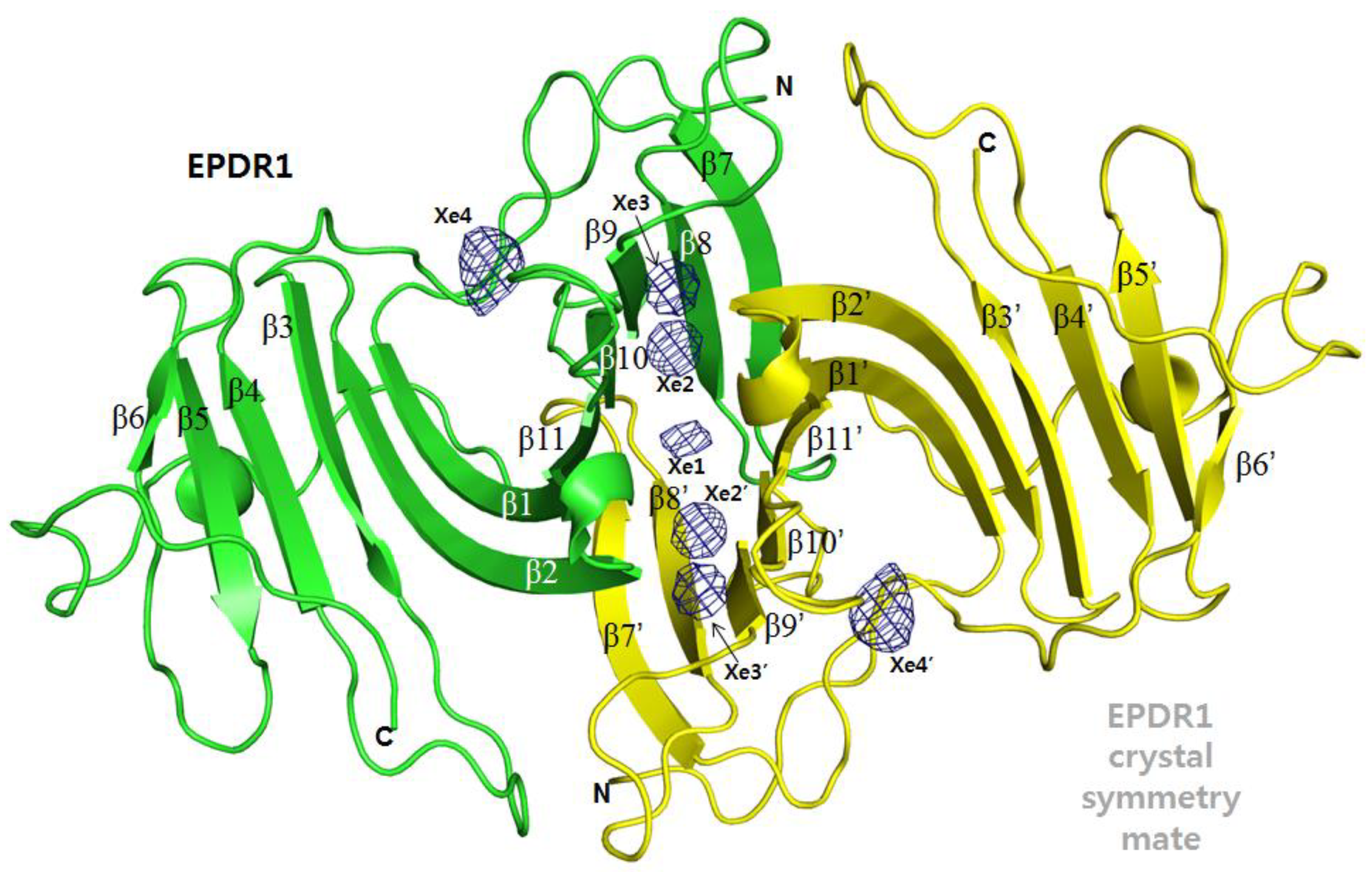 Crystals 10 00032 g002