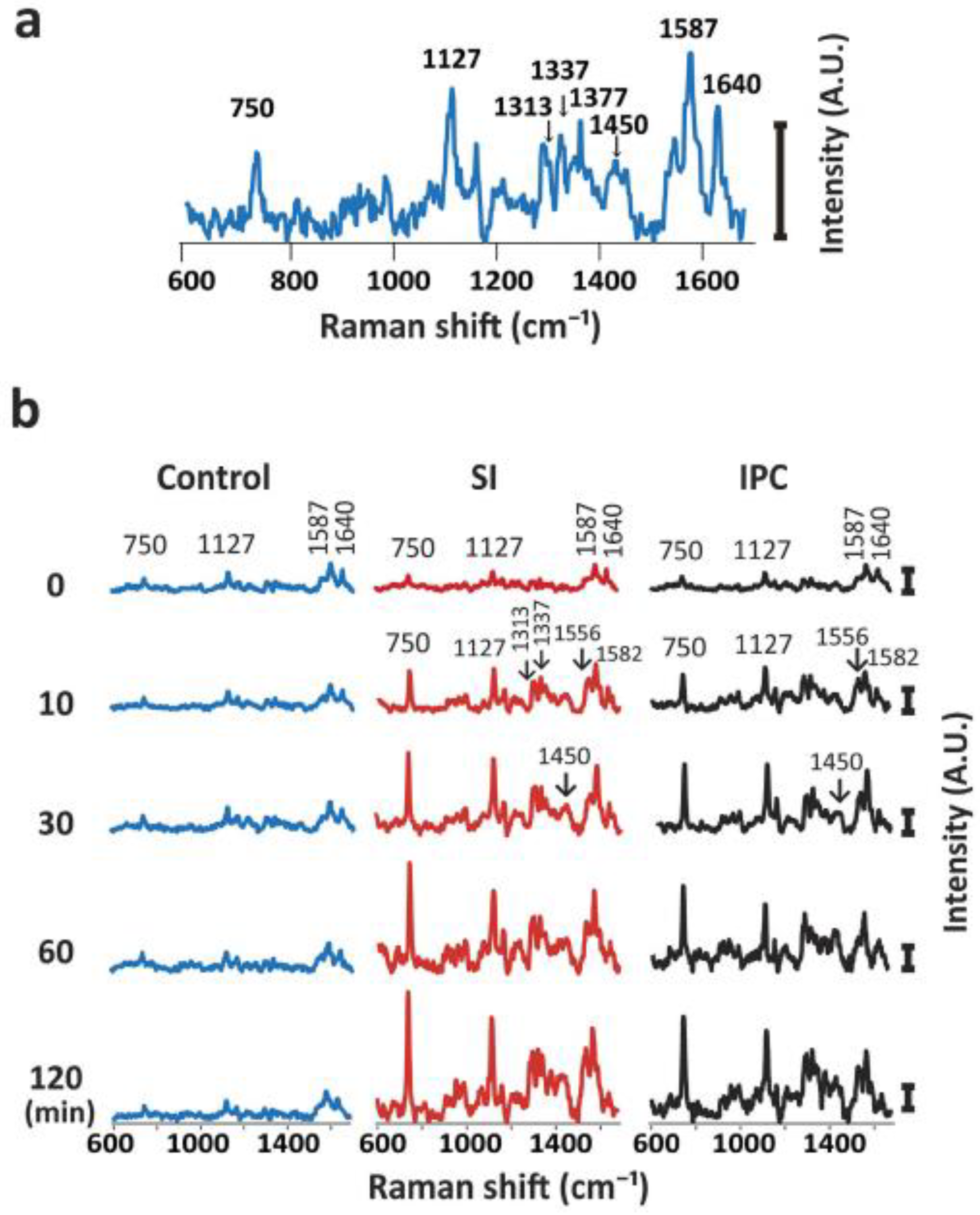 Crystals 10 00038 g003