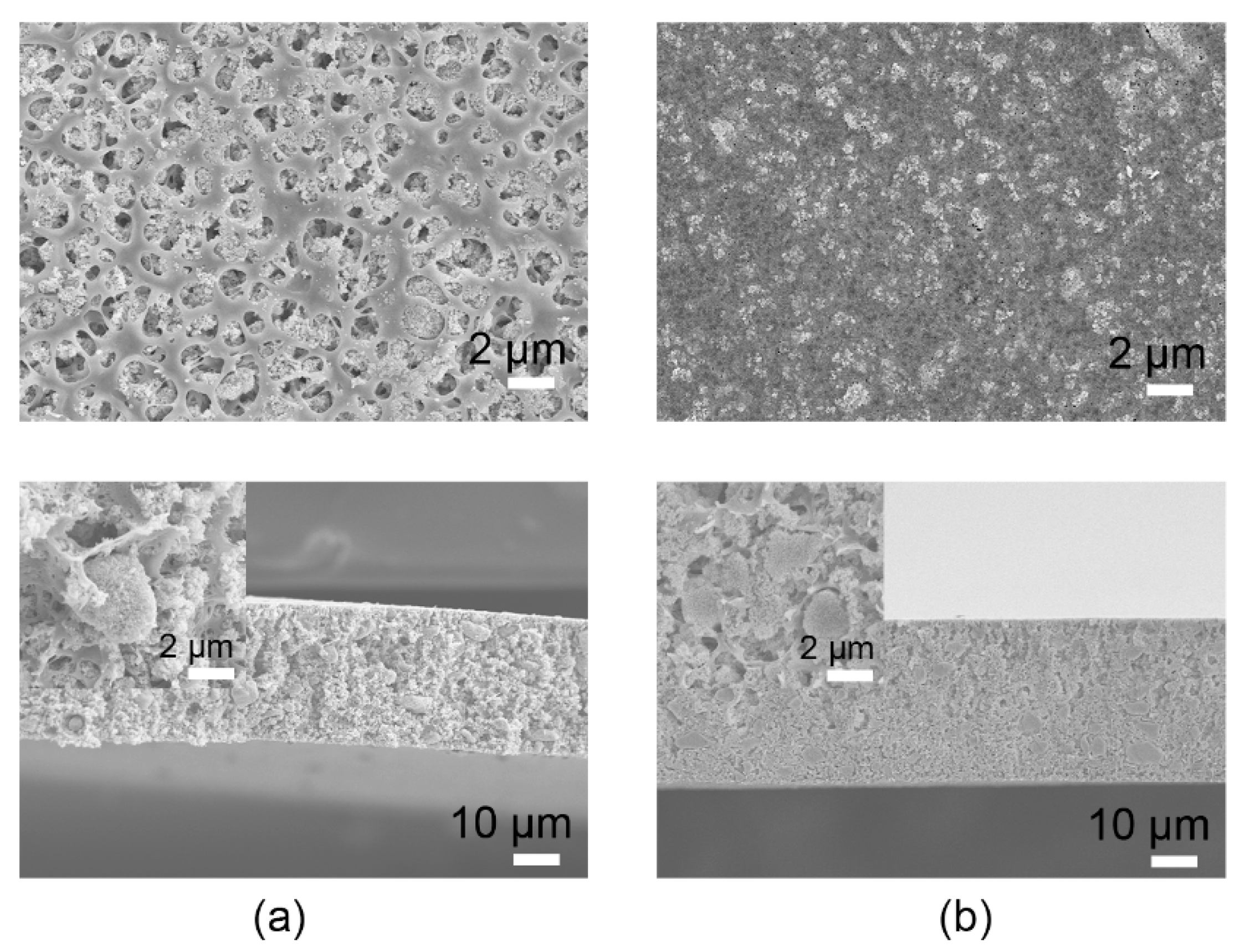 Crystals 10 00039 g005