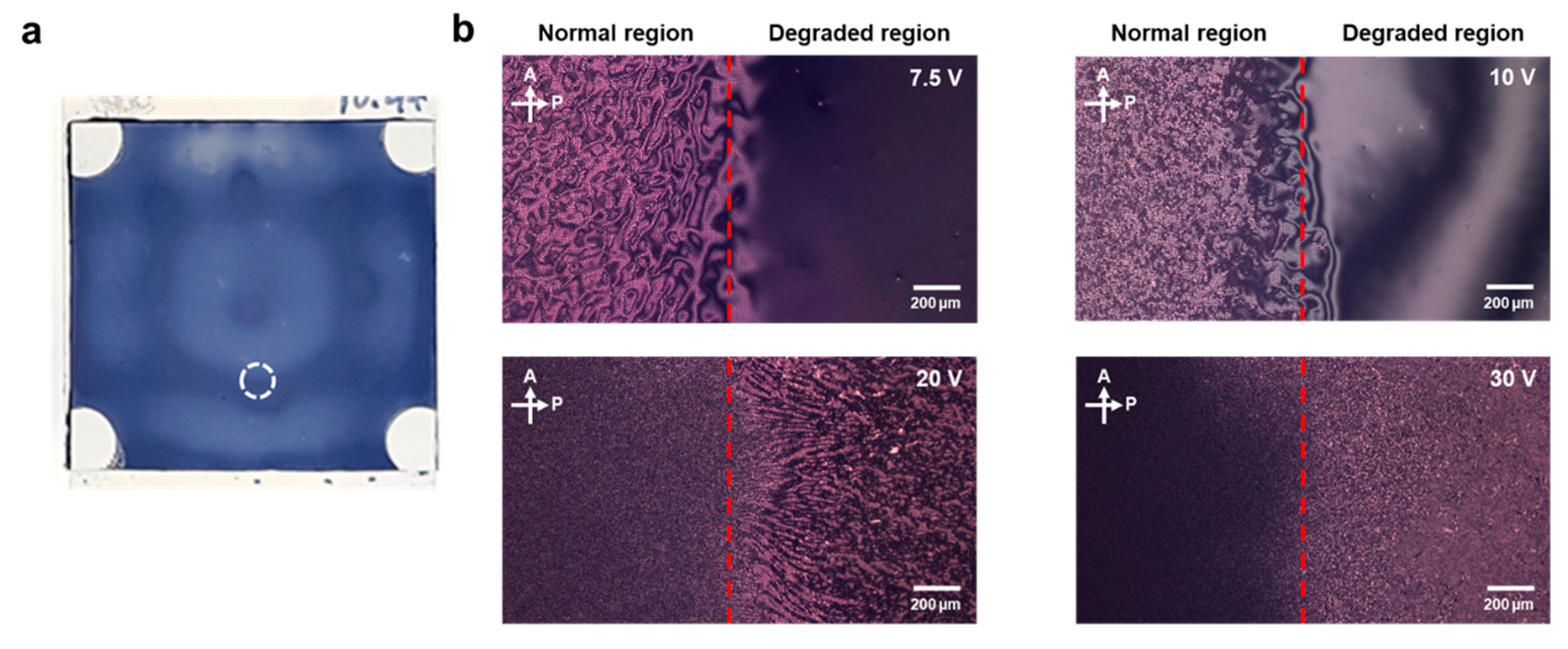 Crystals 10 00055 g004