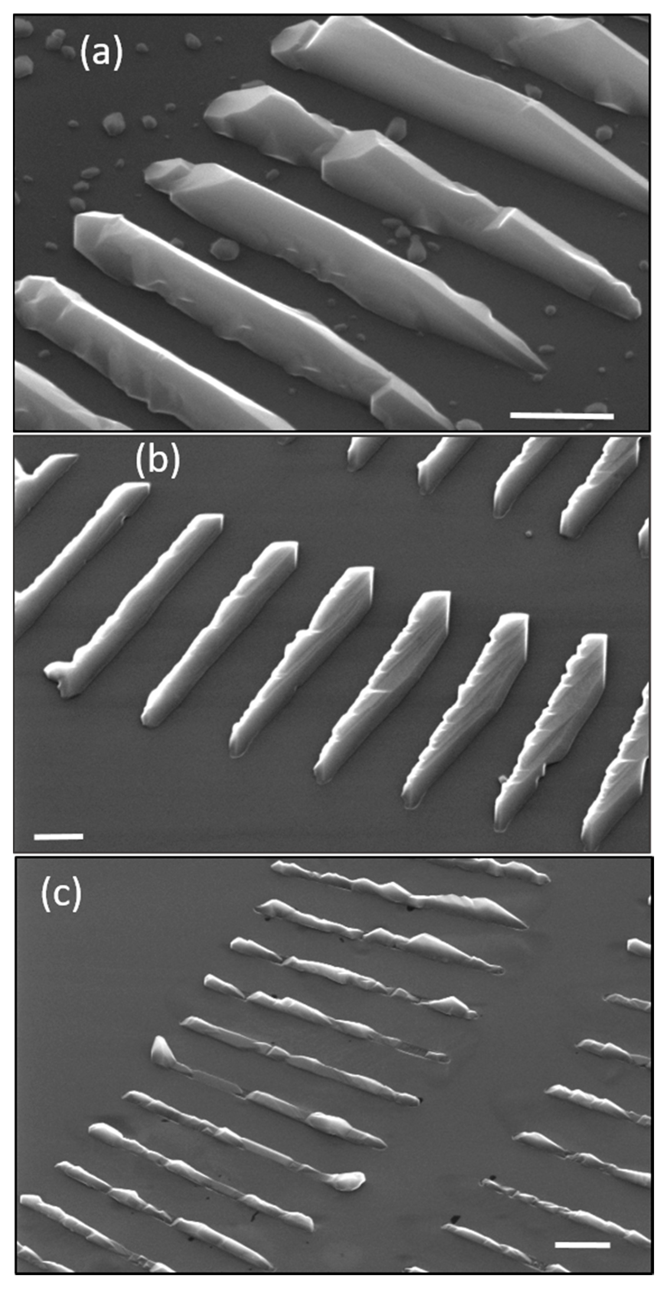 Crystals 10 00057 g005