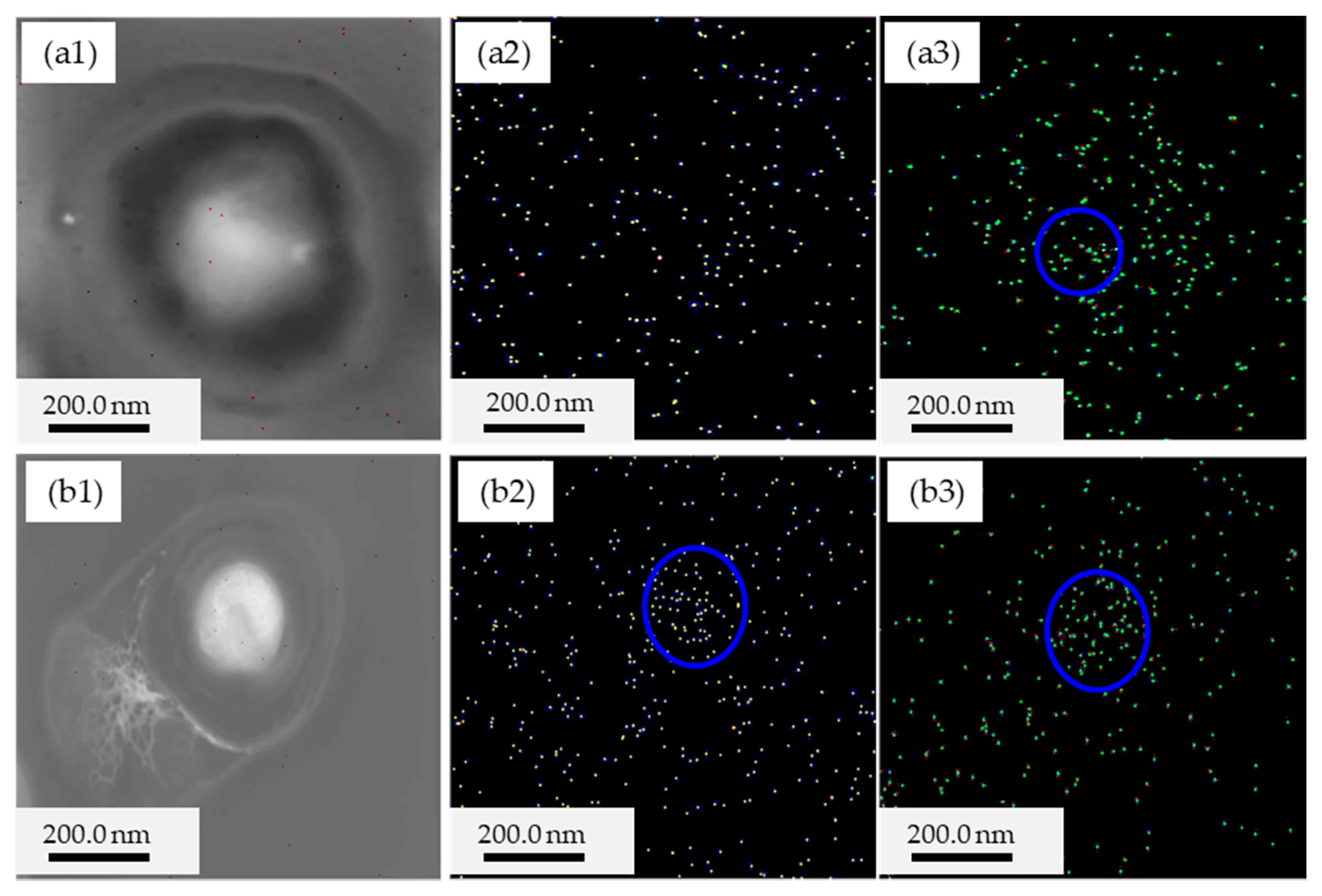 Crystals 10 00058 g010