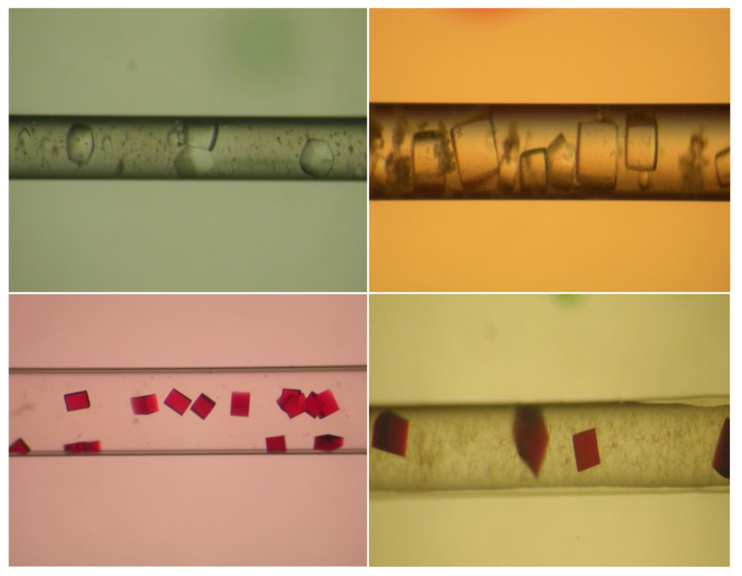 Crystals 10 00068 g002