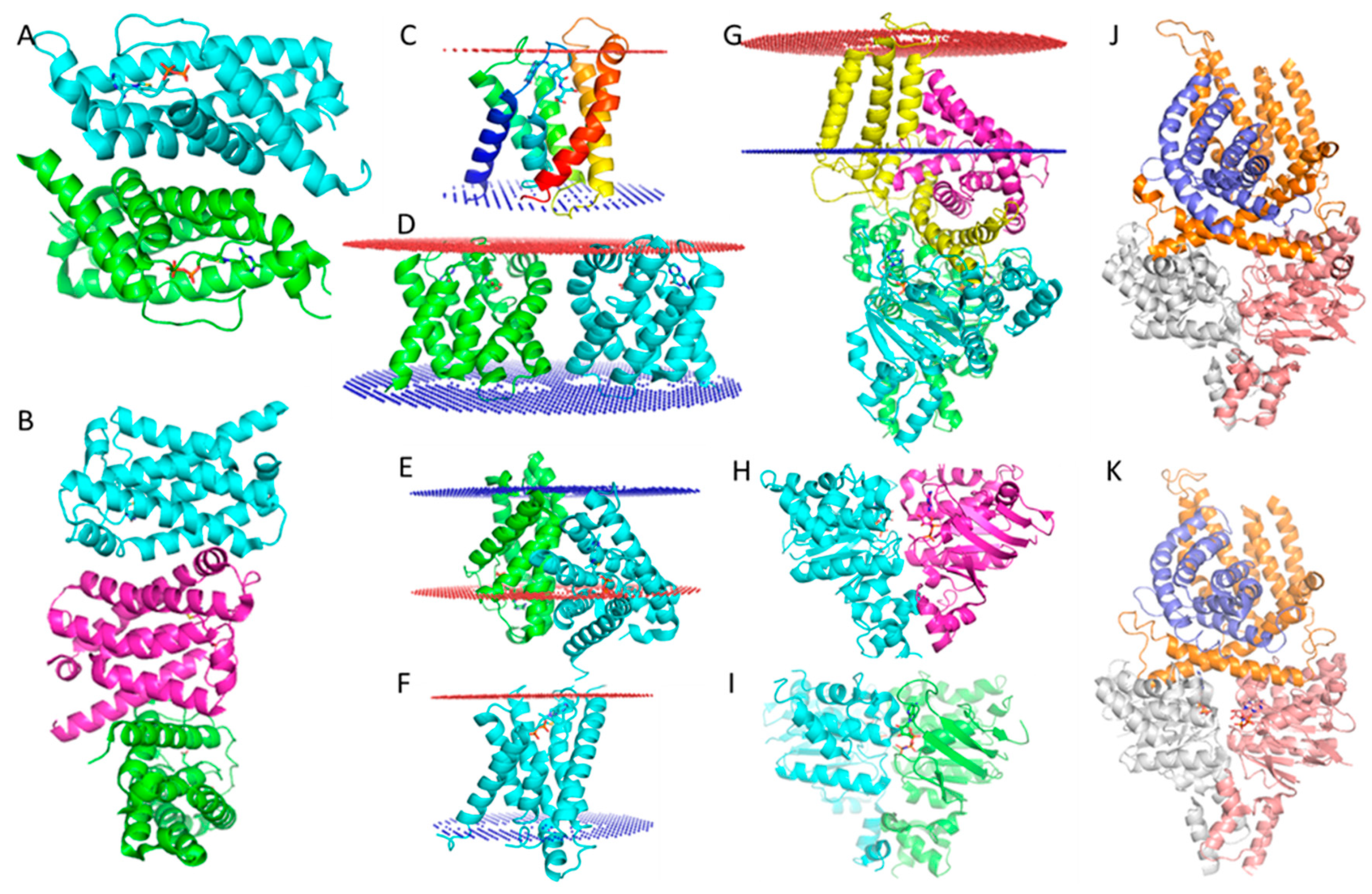 Crystals 10 00086 g003
